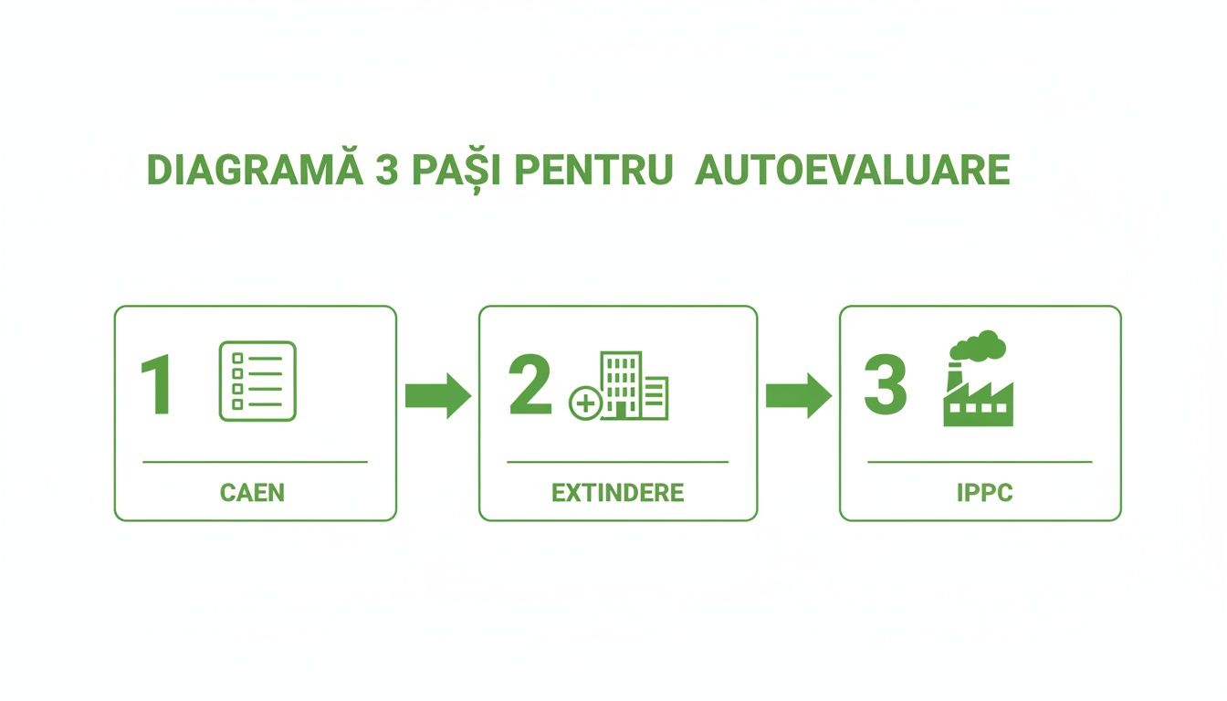 Diagrama cu 3 pași pentru autoevaluare: CAEN, extindere și IPPC, ilustrată cu iconițe specifice.