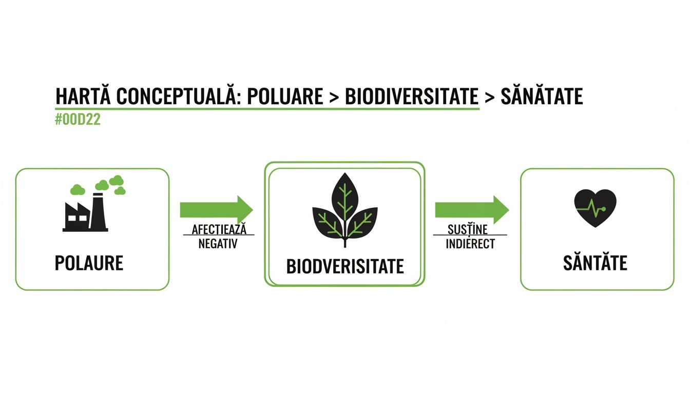 Harta conceptuală ilustrând relația dintre poluare, biodiversitate și sănătate, cu impact negativ și susținere indirectă.