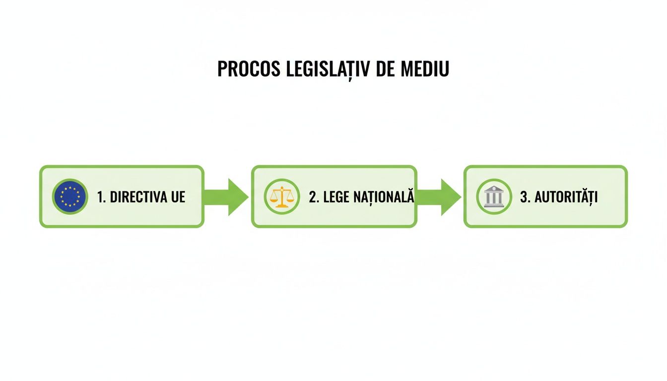 Diagramă ce ilustrează procesul legislativ de mediu: de la directiva UE la legea națională și autorități.