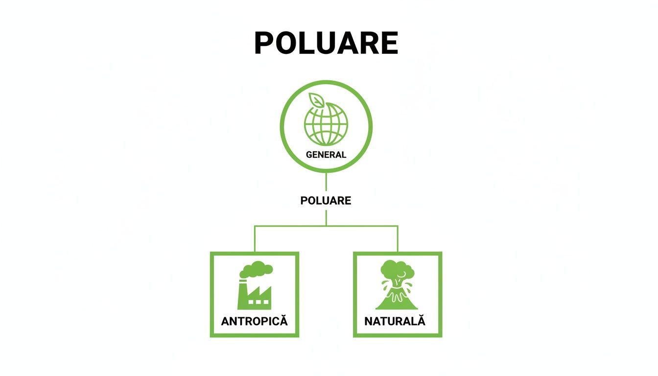 Diagramă vizuală a poluării, arătând surse generale, antropice (fabrici) și naturale (vulcani).