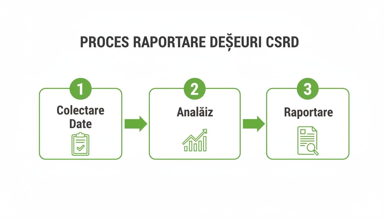 Diagramă vizuală a procesului de raportare a deșeurilor CSRD, ilustrând etapele de colectare, analiză și raportare.