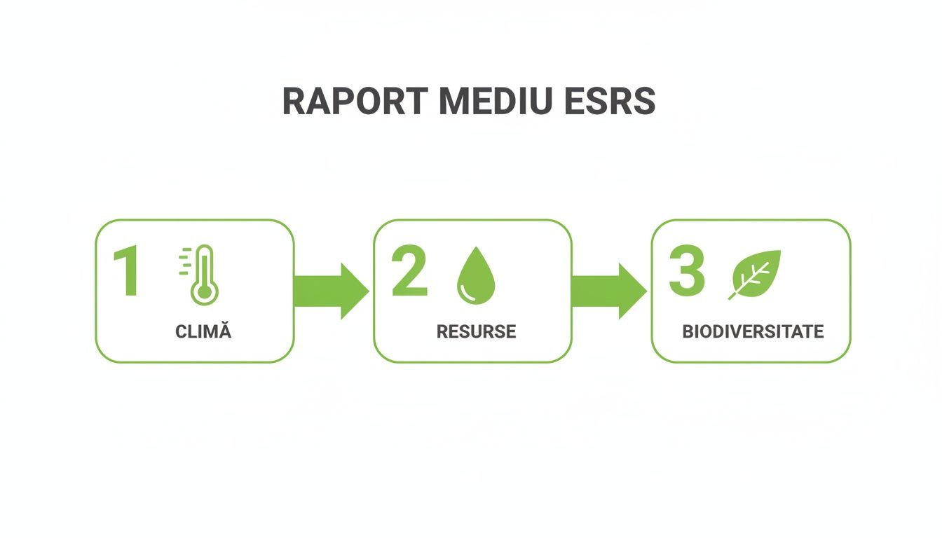 Diagramă cu trei etape pentru raportul de mediu ESRS: Climă, Resurse, Biodiversitate, indicând o succesiune.
