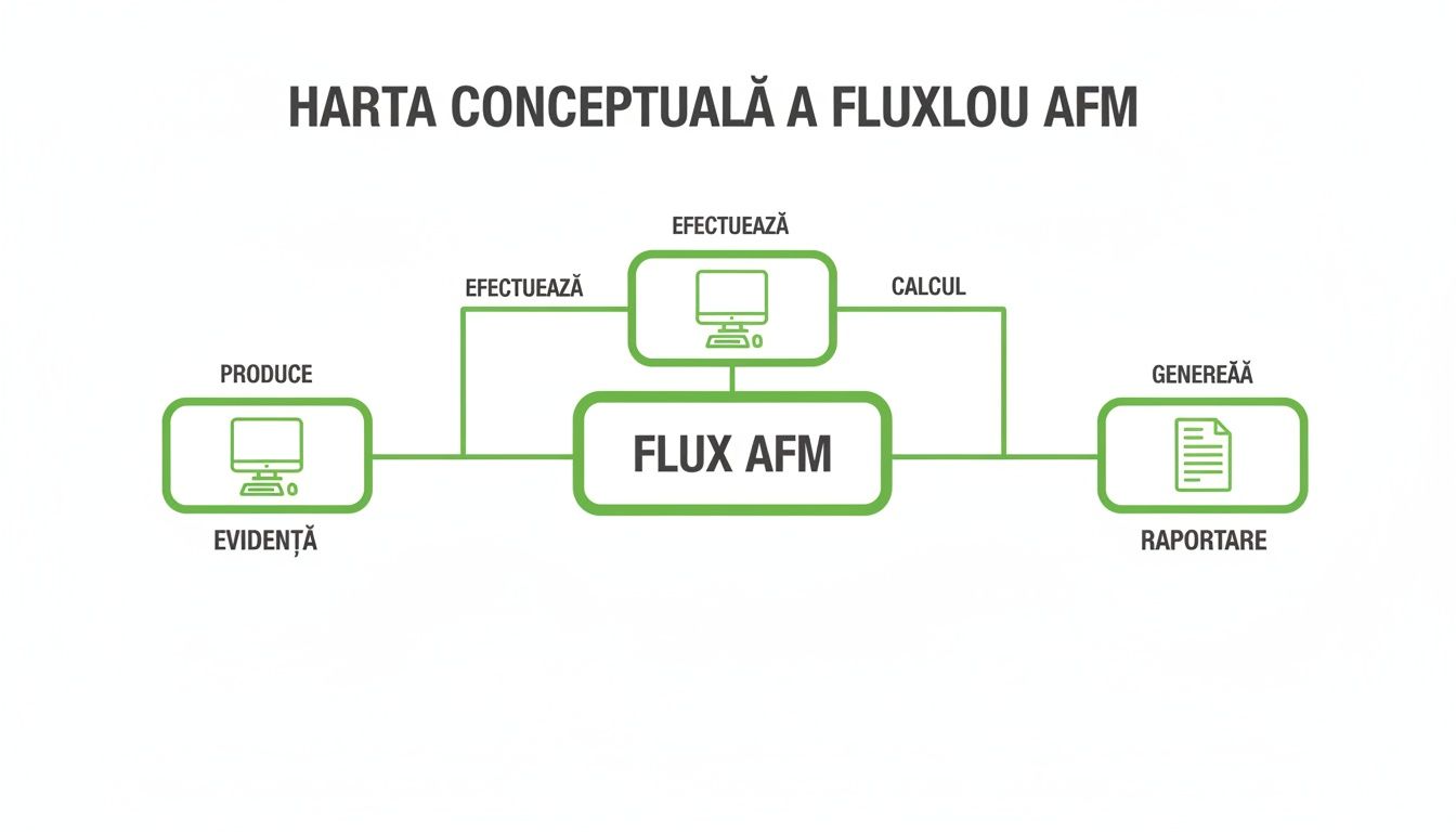 Hartă conceptuală a fluxului AFM, ilustrând etapele de evidență, calcul și raportare. O schemă explicativă a proceselor.