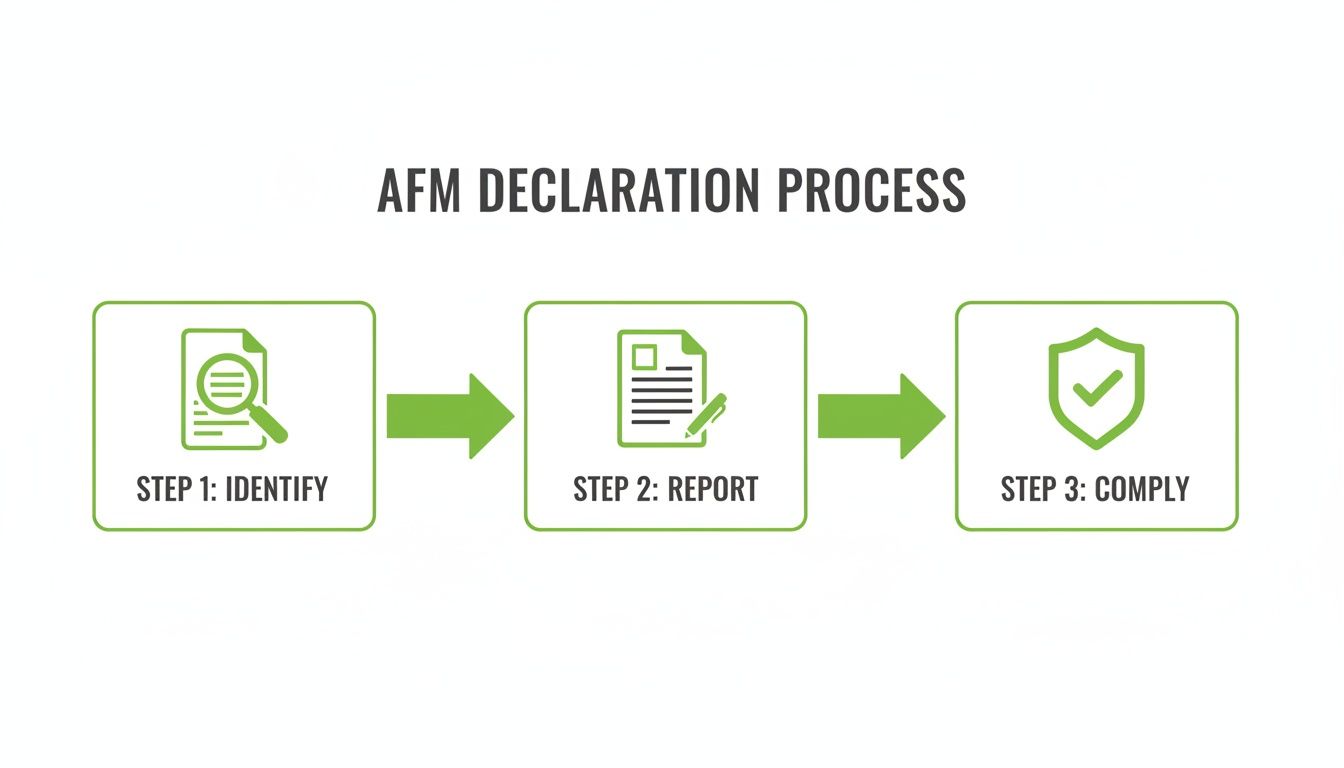 An infographic illustrating the AFM Declaration Process with three key steps: Identify, Report, Comply.