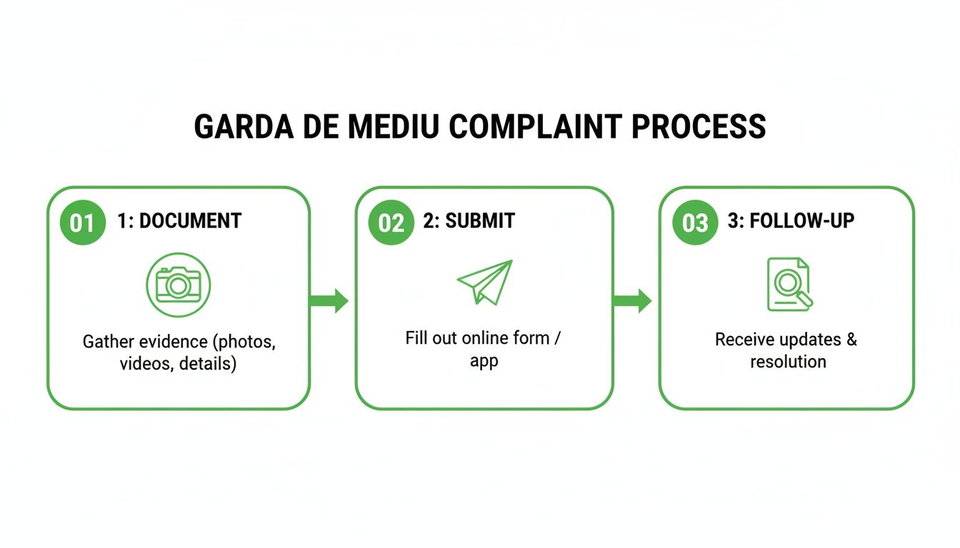 A three-step process flowchart for filing a complaint with Garda de Mediu.