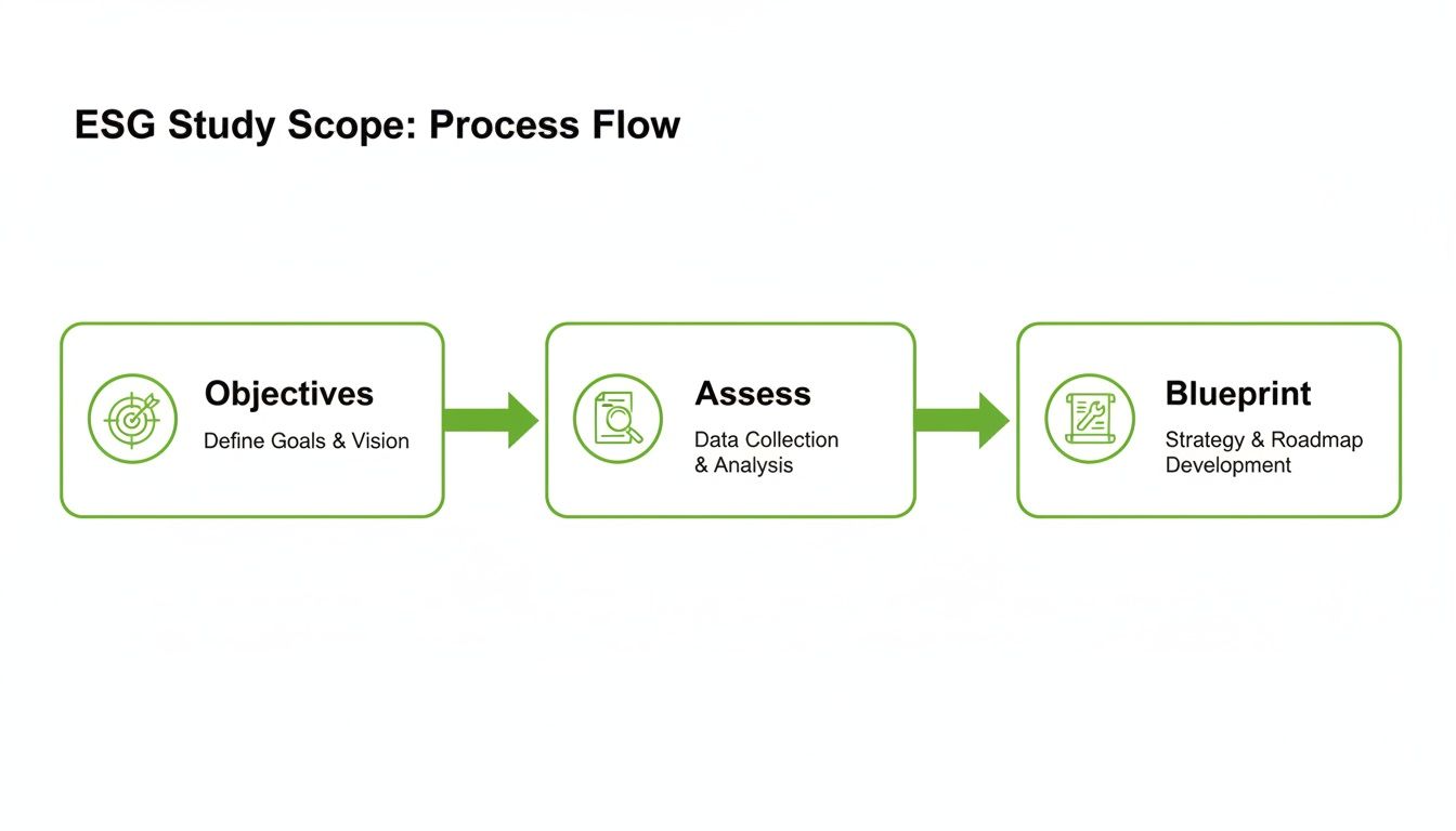 A green flow chart outlining the ESG study scope: Objectives, Assess, and Blueprint steps.