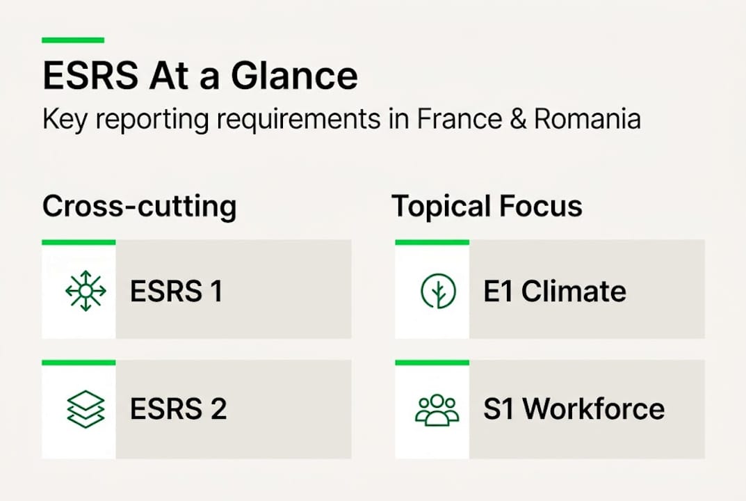 Infographic showing ESRS structure and reporting focus