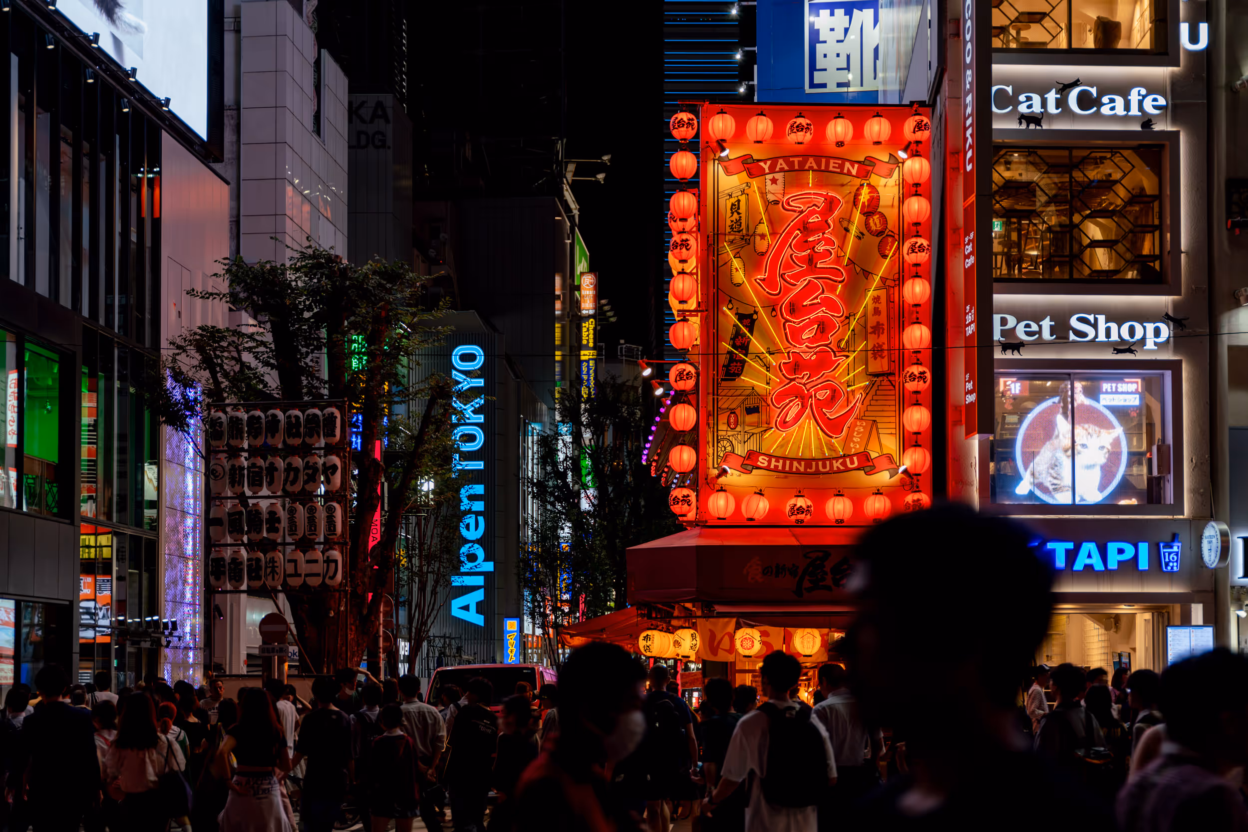 Tokyo at Night. Japan. 2023.