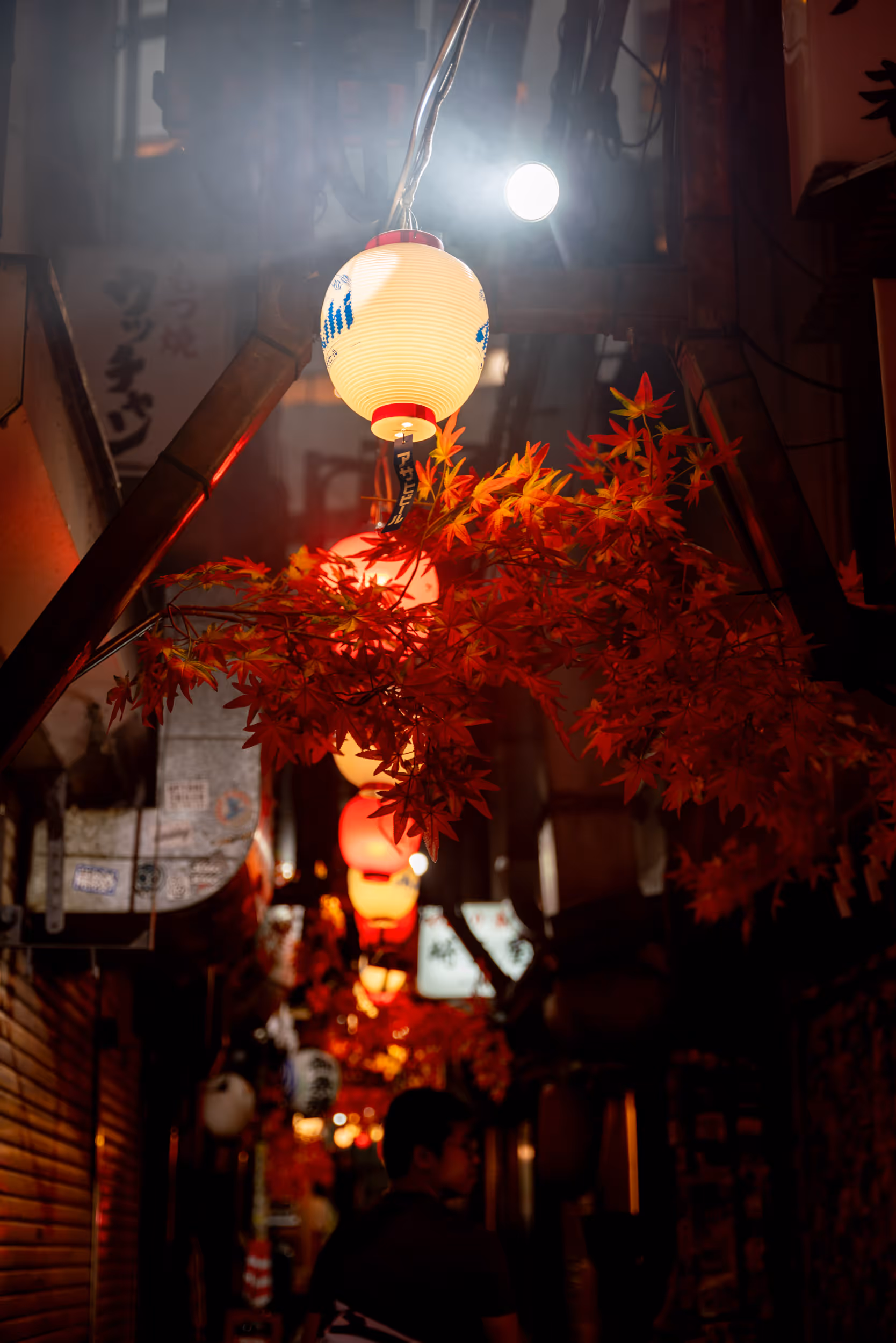 Tokyo at Night. Japan. 2023.