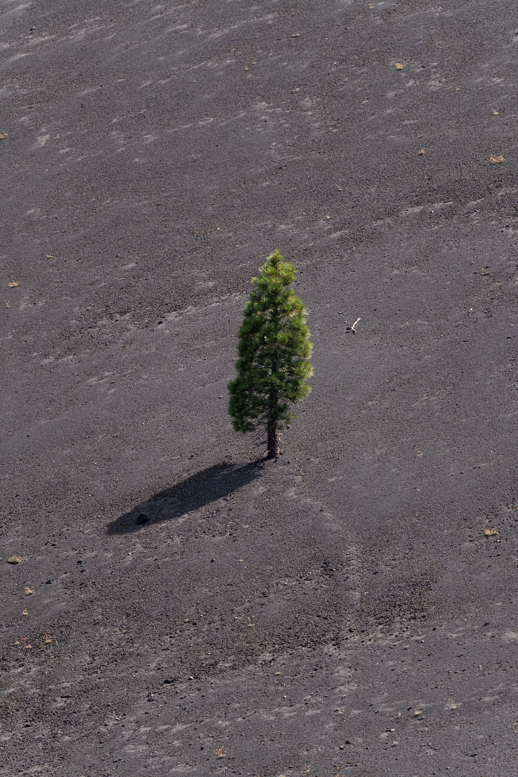 Lassen Volcanic National Park, CA. 2023.