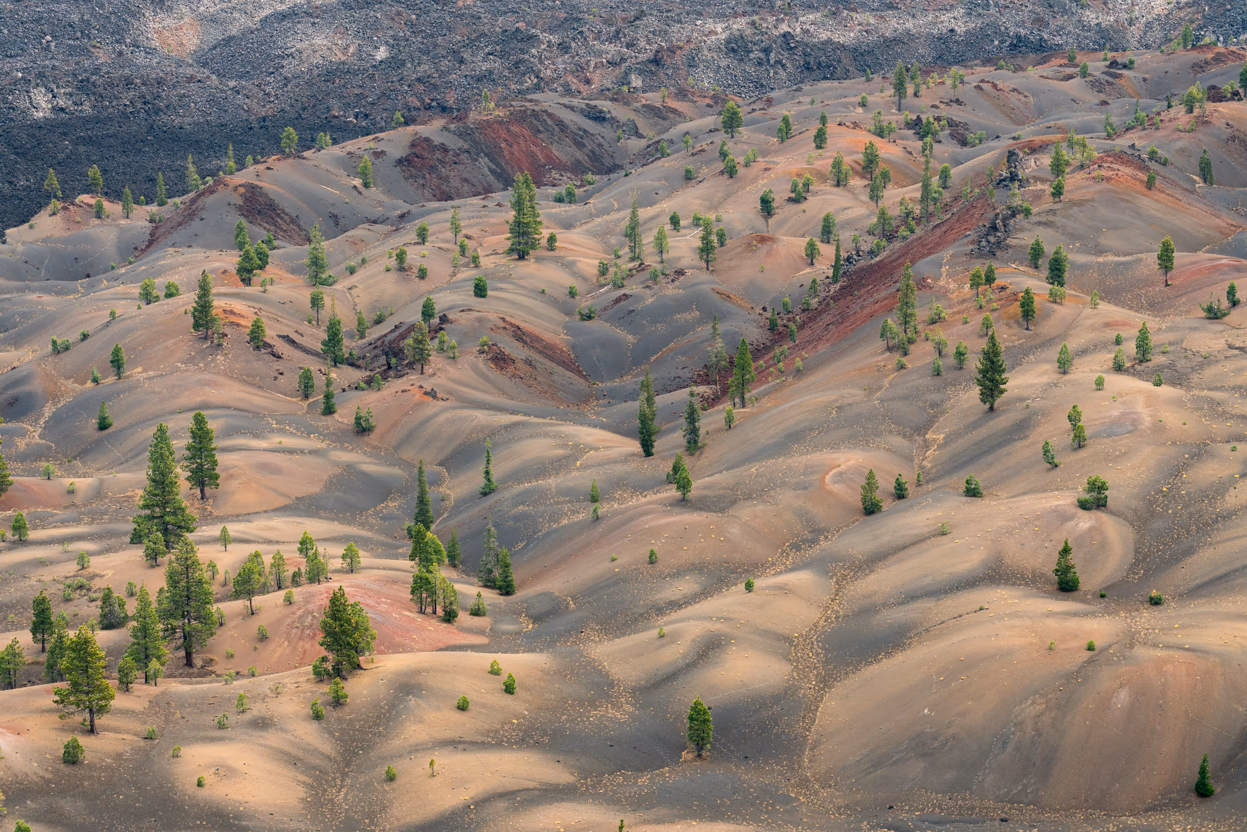 Lassen Volcanic National Park, CA. 2023.
