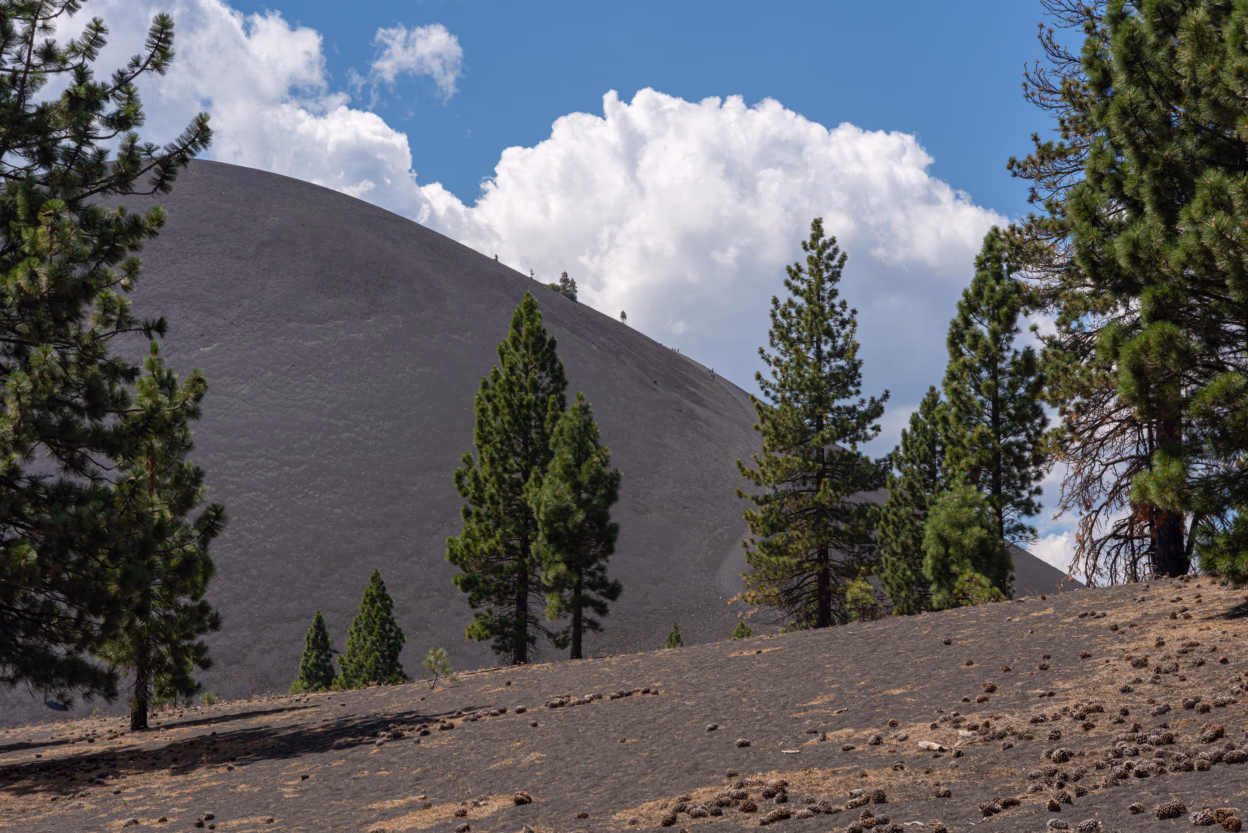 Lassen Volcanic National Park, CA. 2023.