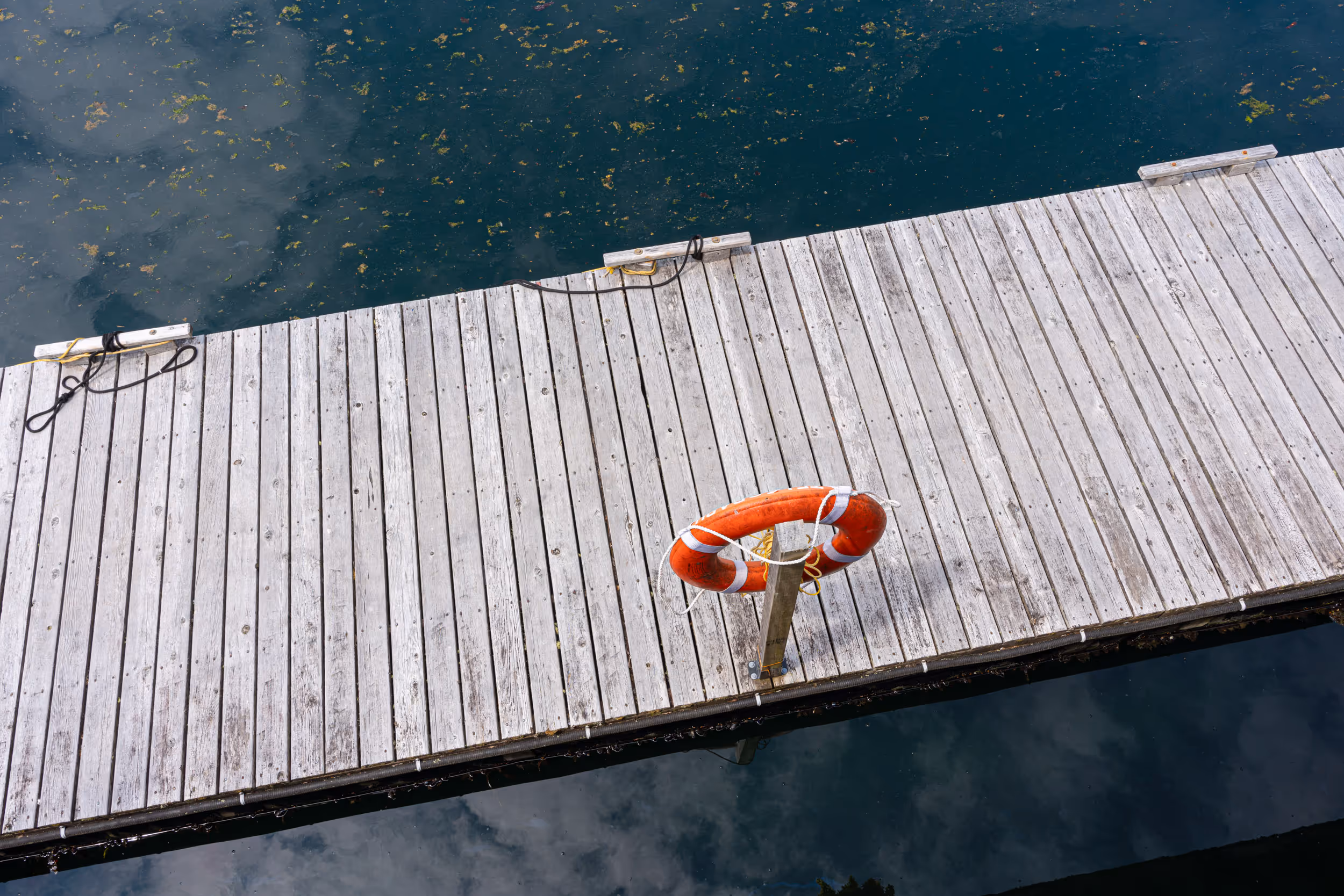 Telegraph Cove, BC. 2023.