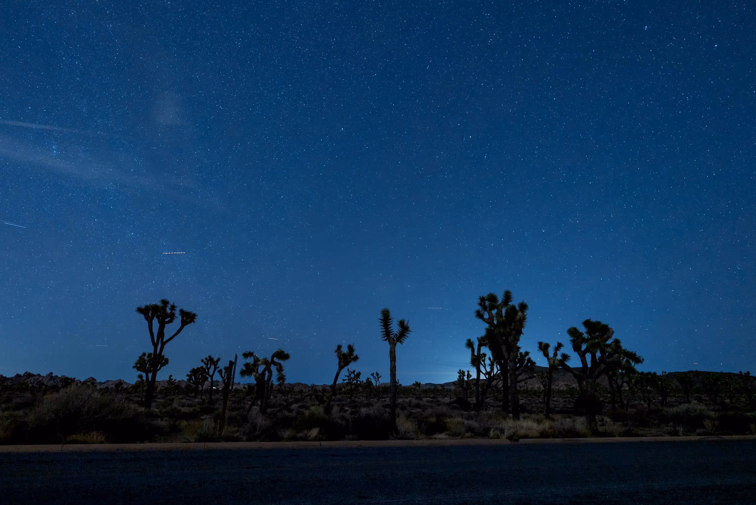 Joshua Tree National Park at night. CA. 2023.
