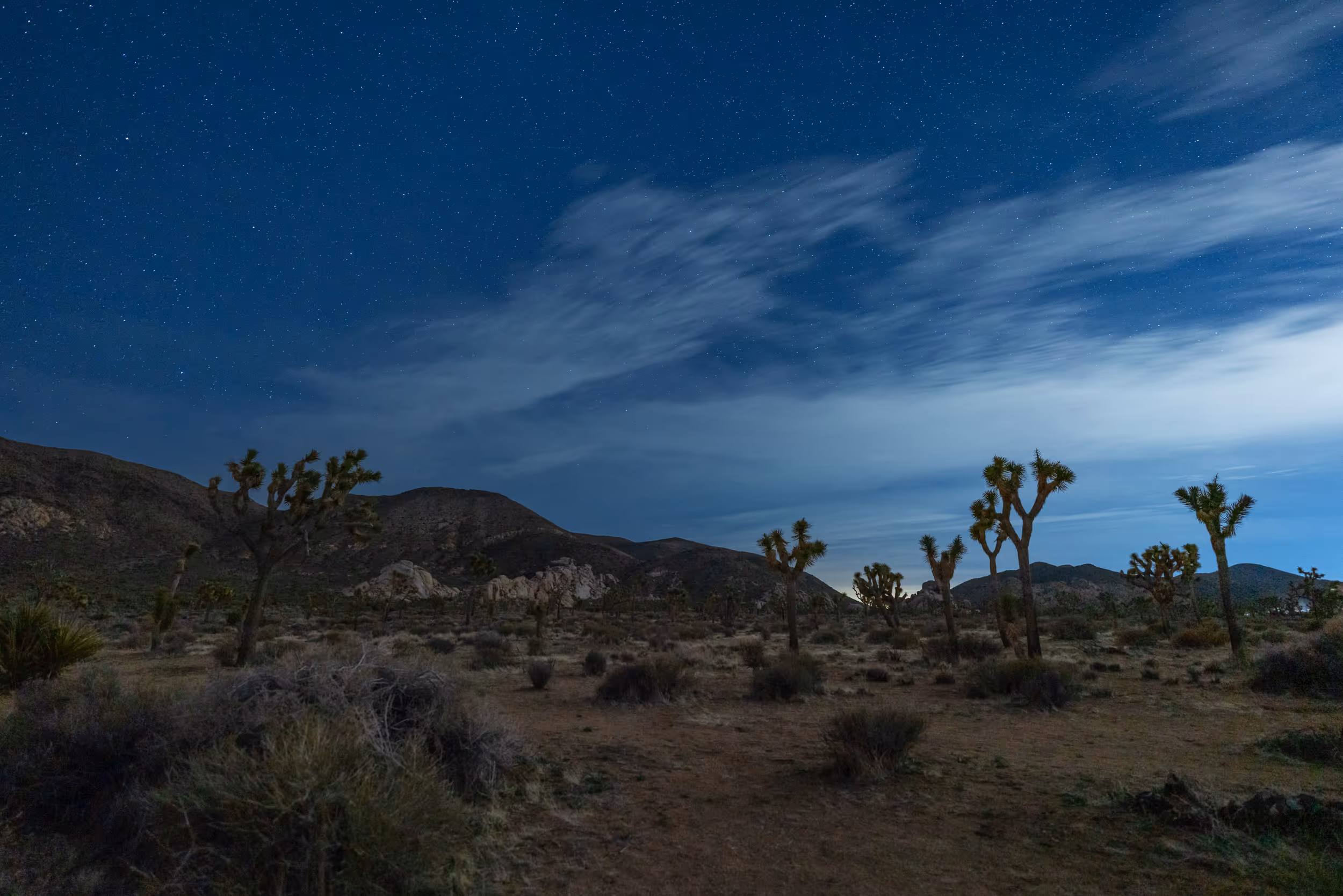 Joshua Tree National Park at night. CA. 2023.