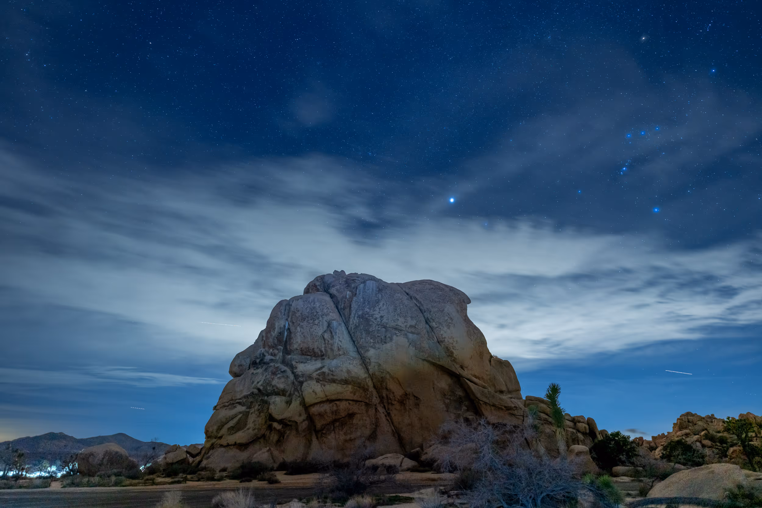 Joshua Tree National Park at night. CA. 2023.