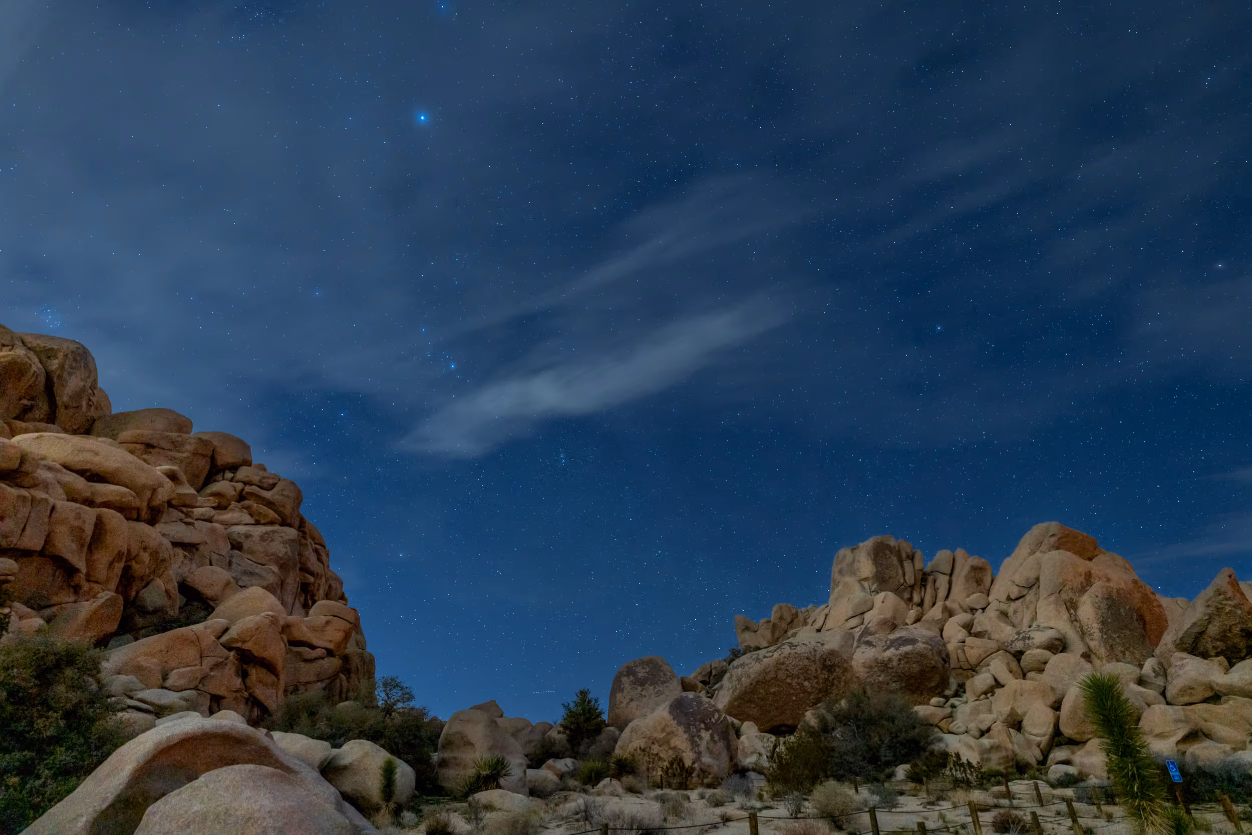 Joshua Tree National Park at night. CA. 2023.