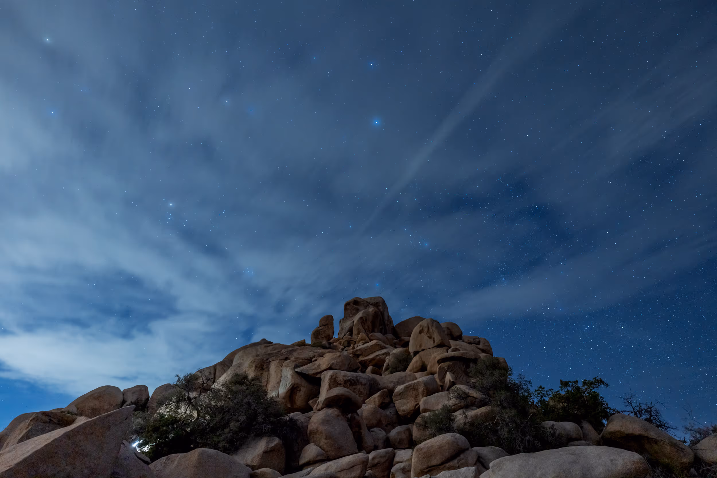 Joshua Tree National Park at night. CA. 2023.