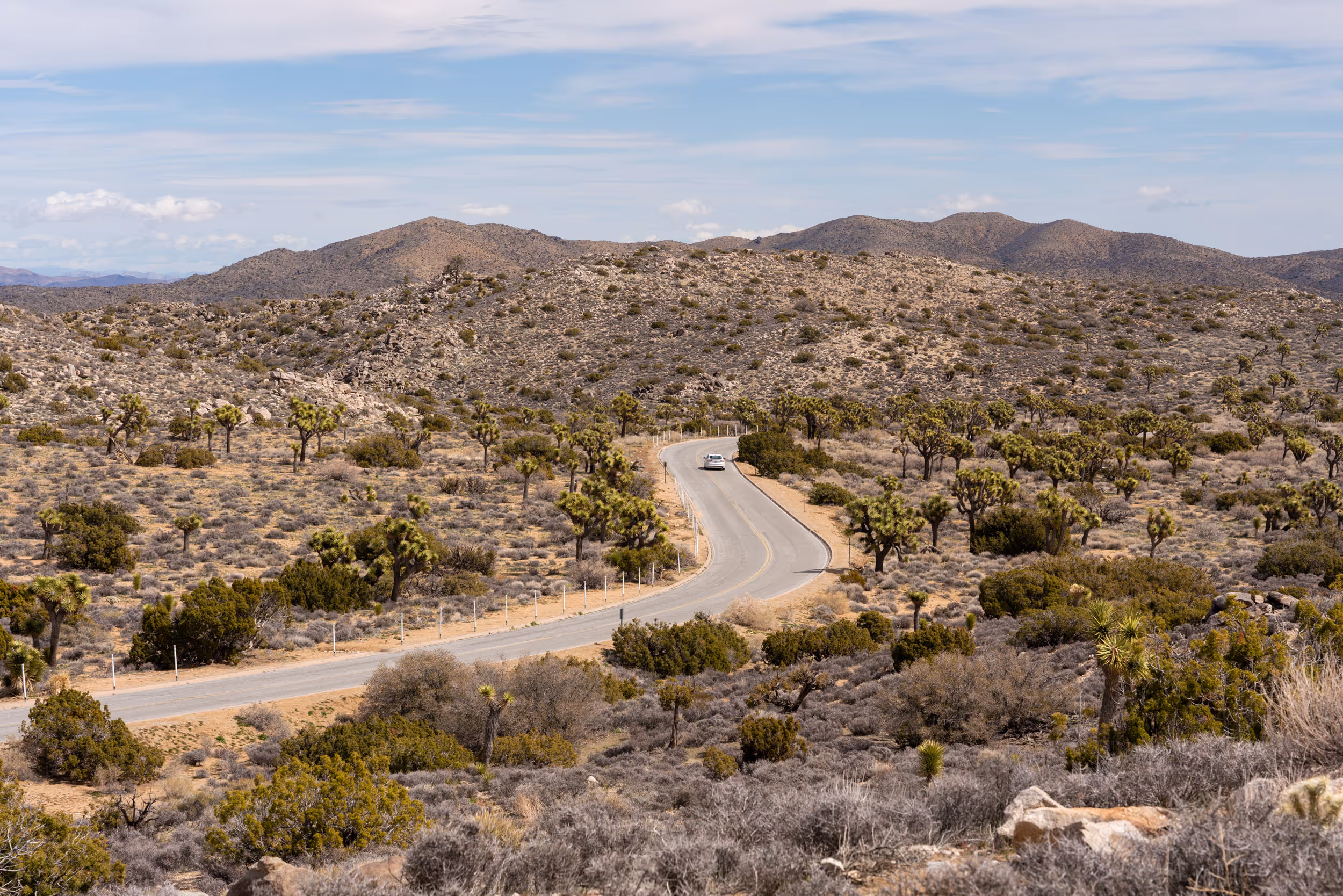 Joshua Tree National Park. CA. 2023.
