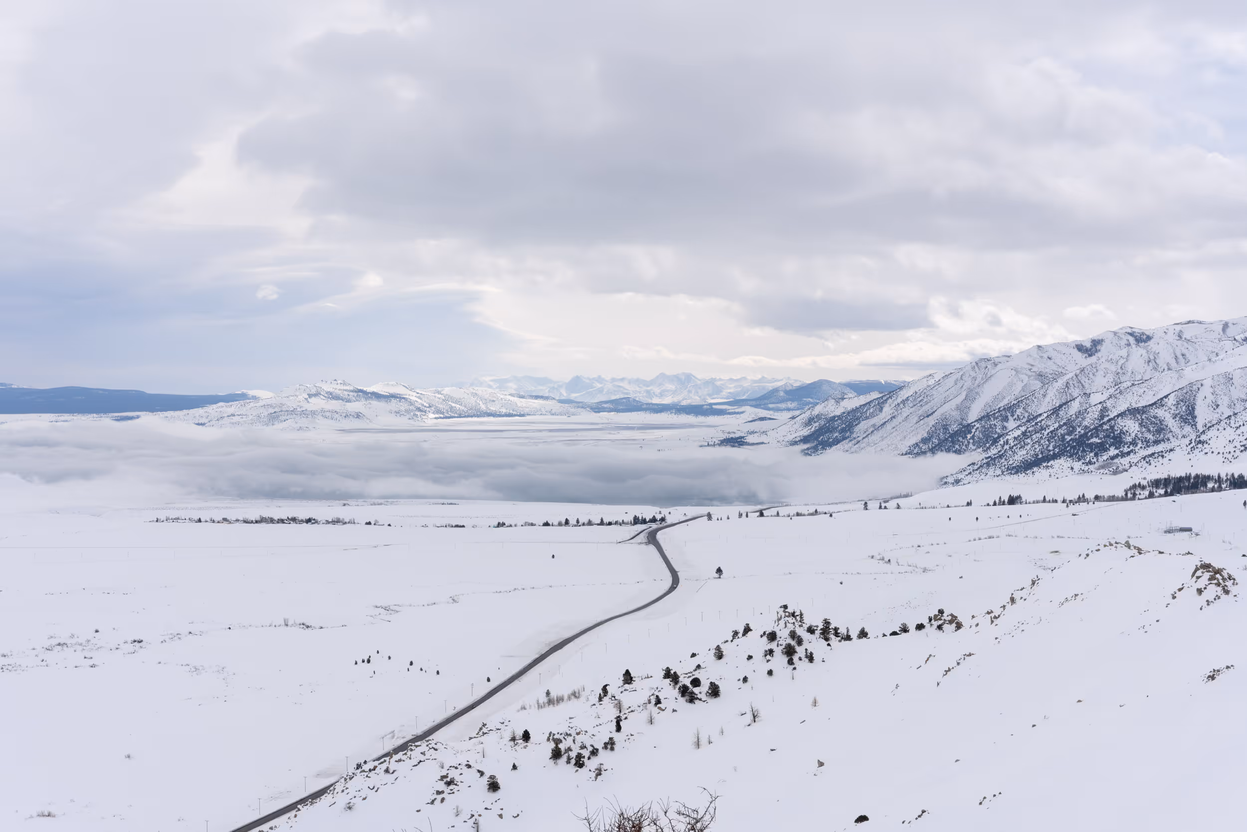 Inyo National Forest. CA. 2023.