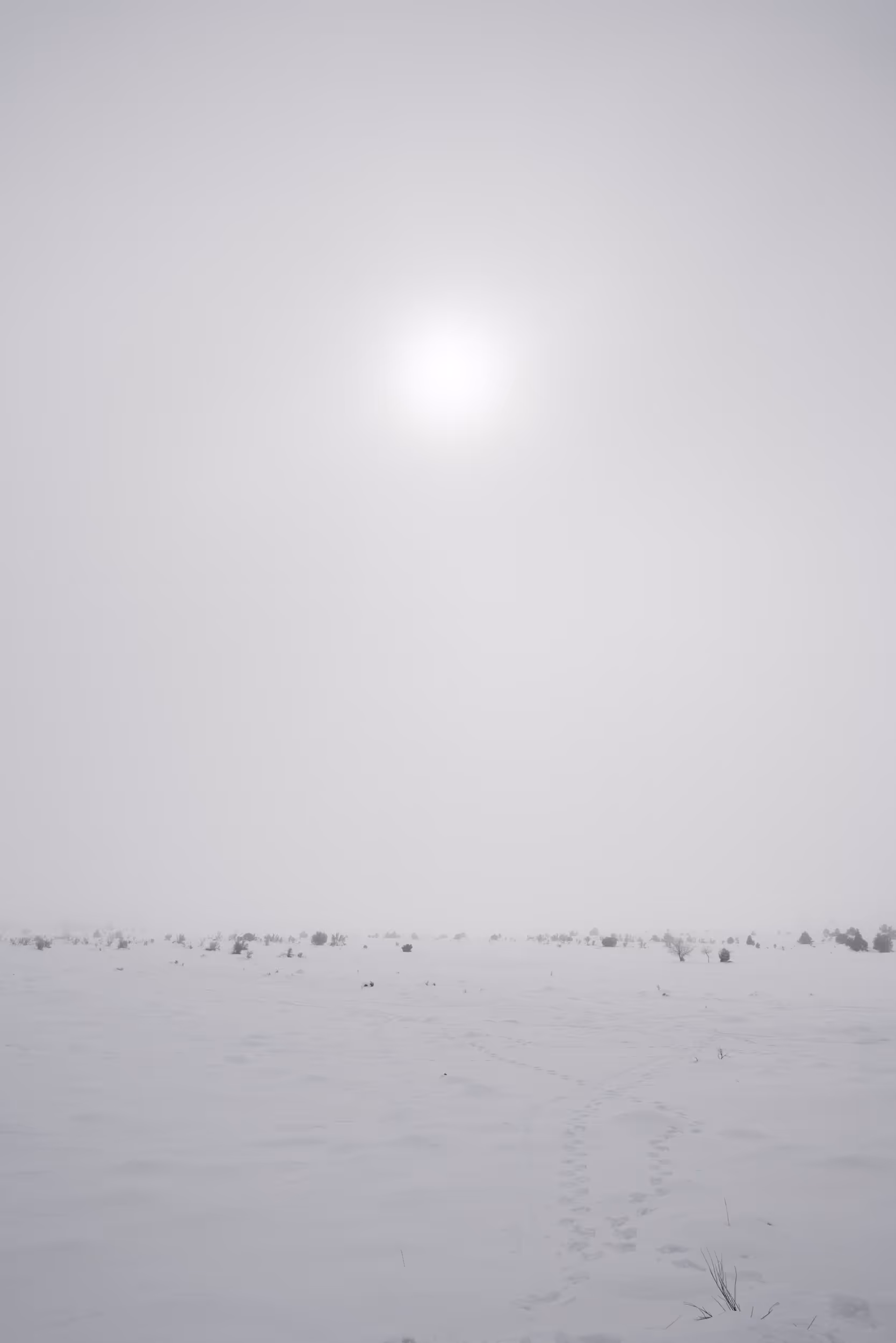 Mono Lake, CA. 2023.