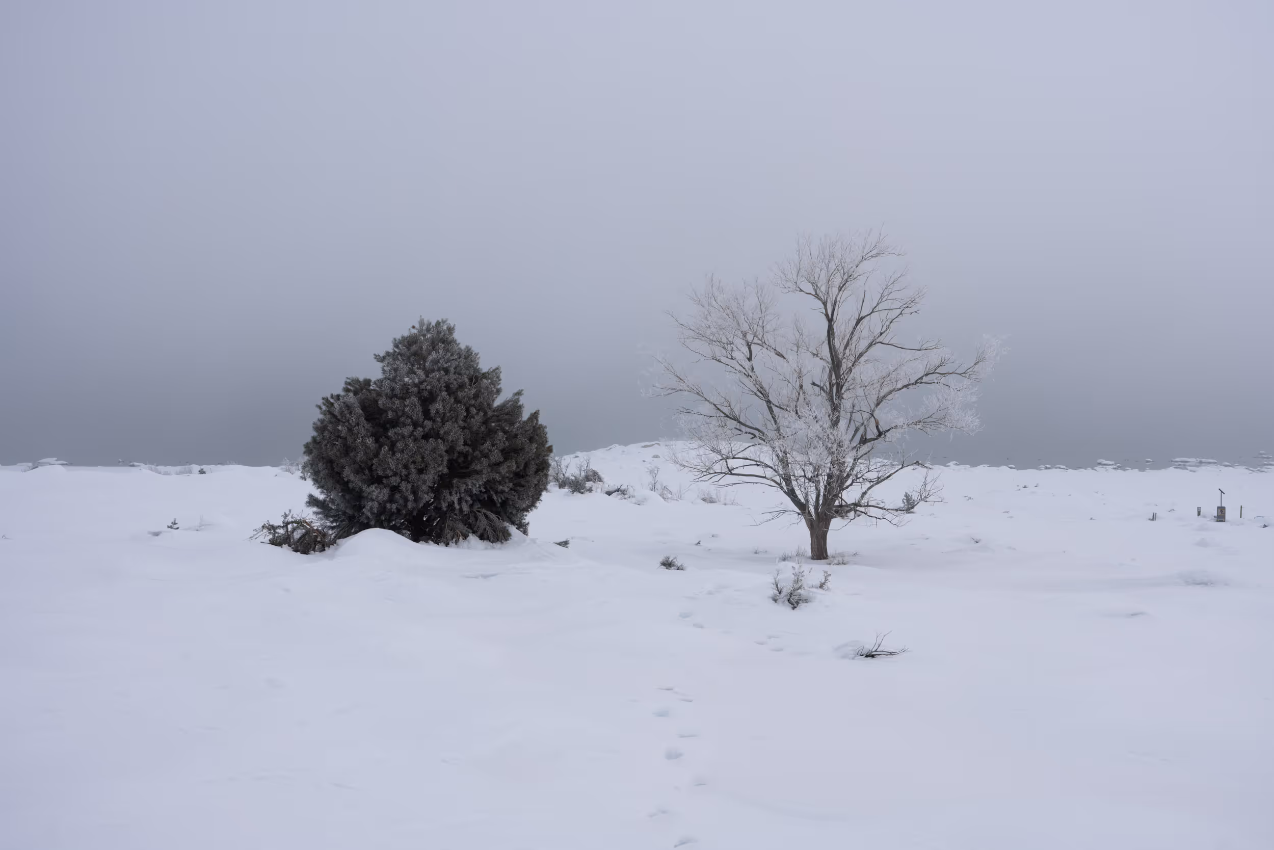 Mono Lake, CA. 2023.
