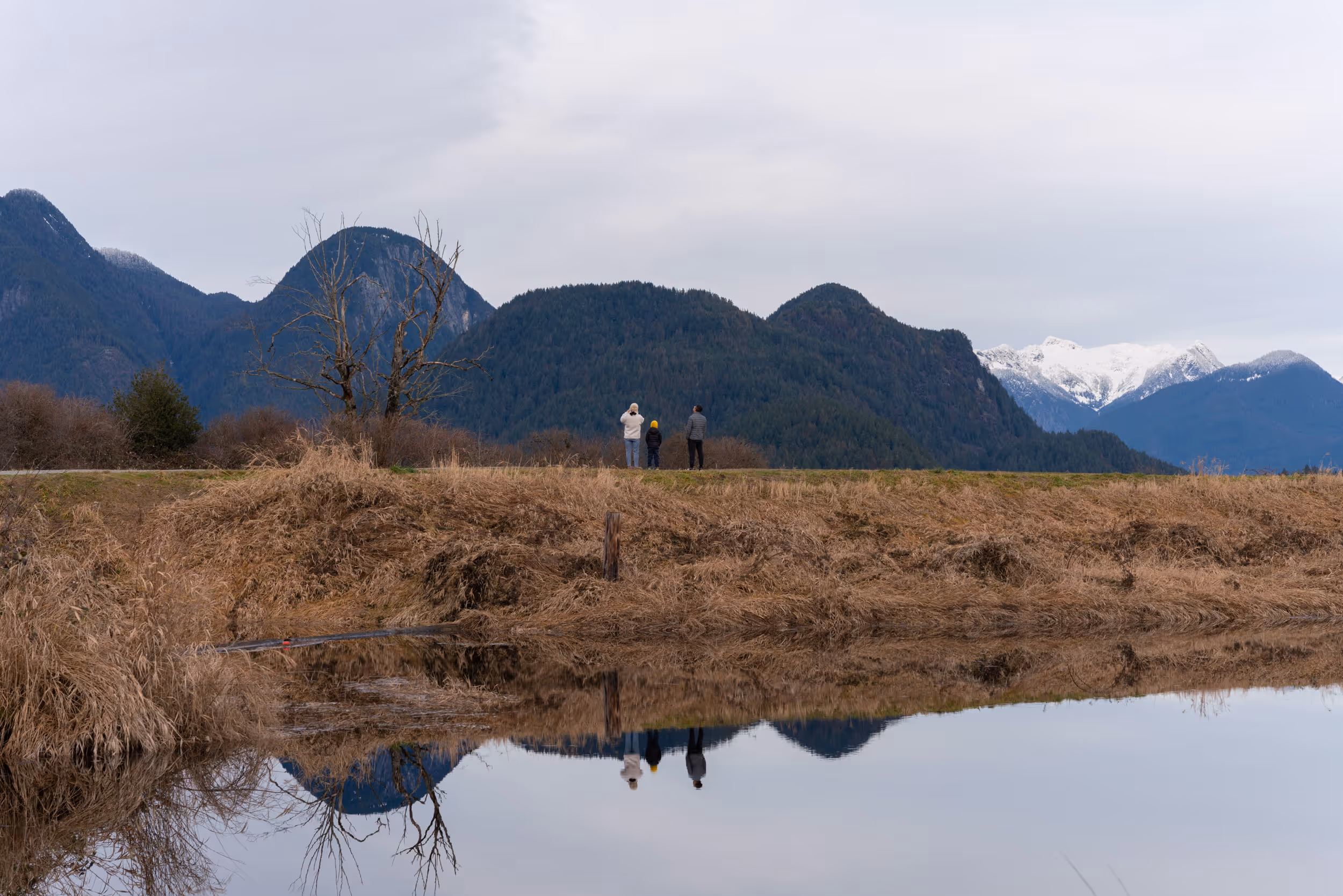 Pitt Meadows, BC. 2023.