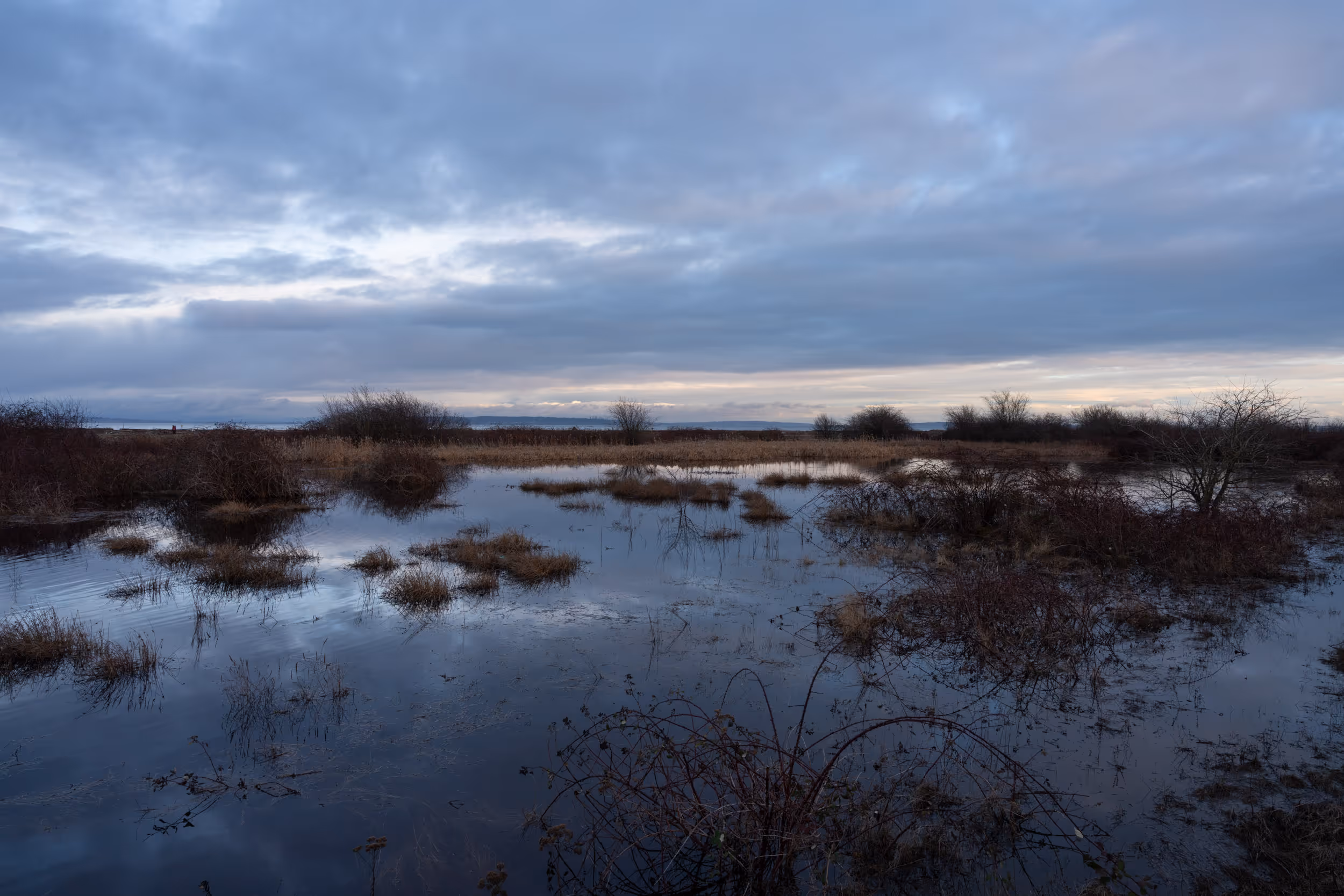 Centennial Beach. Delta, BC. 2022.