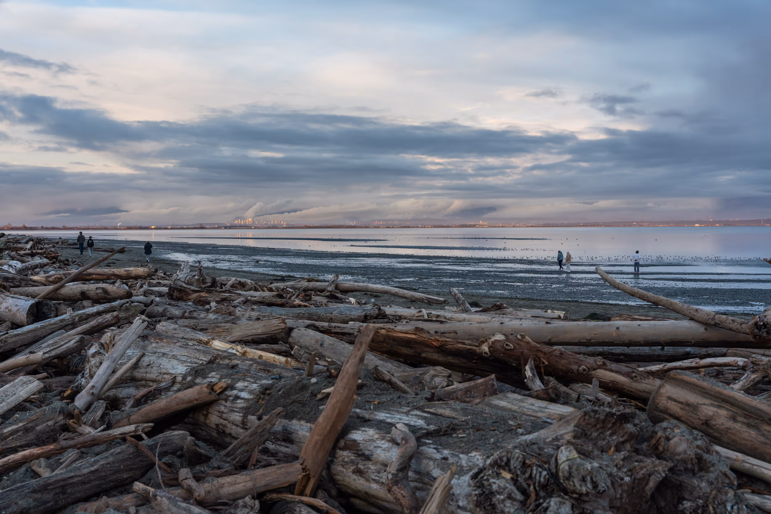 Centennial Beach. Delta, BC. 2022.