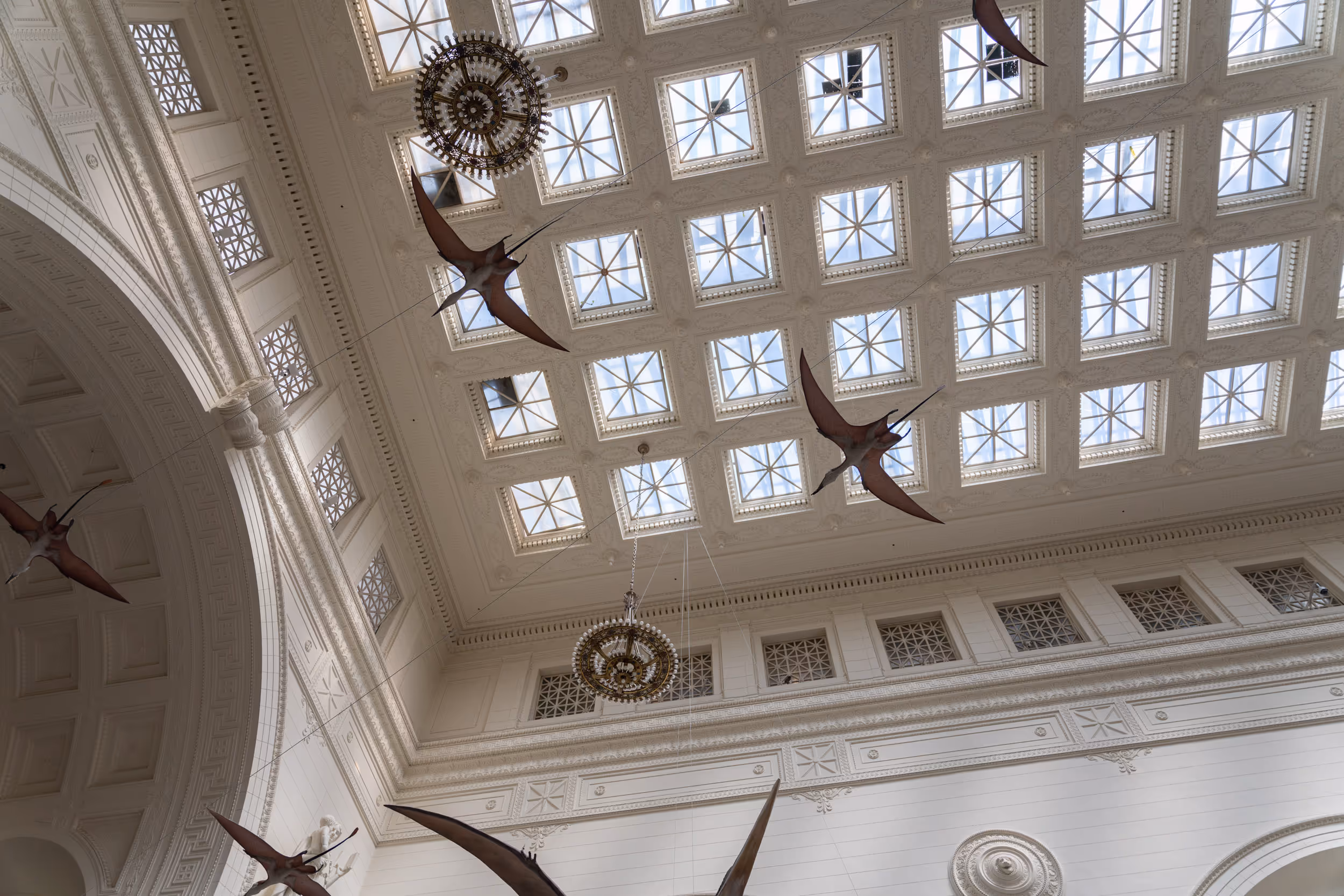 Field Museum. Chicago, IL. 2022.