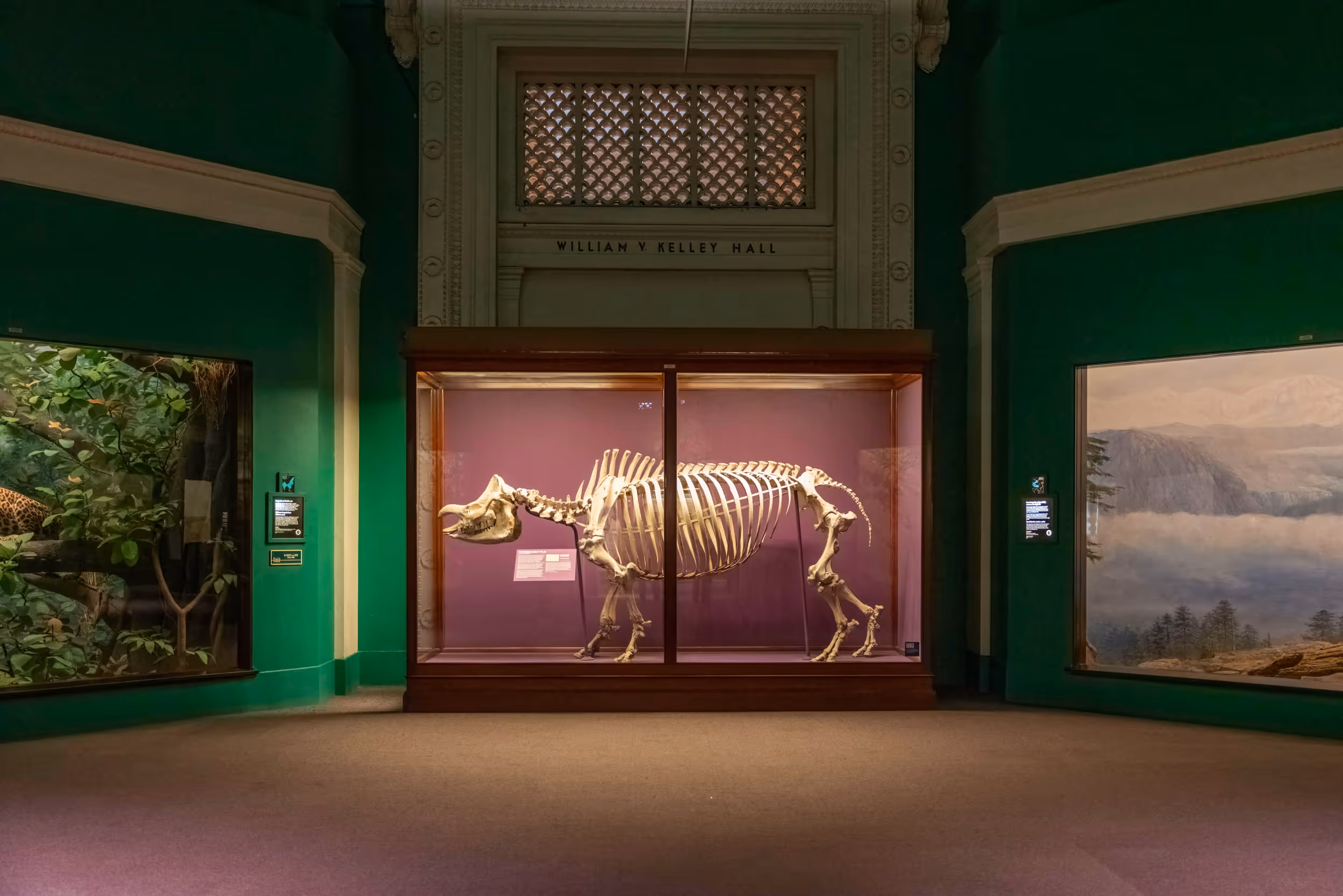 Field Museum. Chicago, IL. 2022.