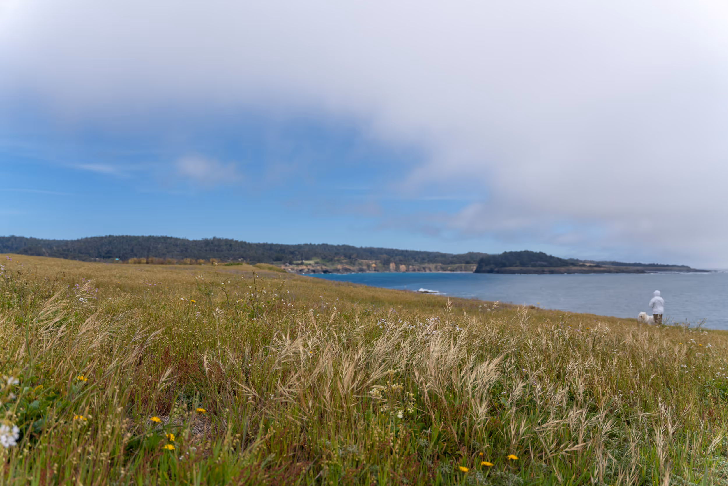Mendocino, CA. 2022.