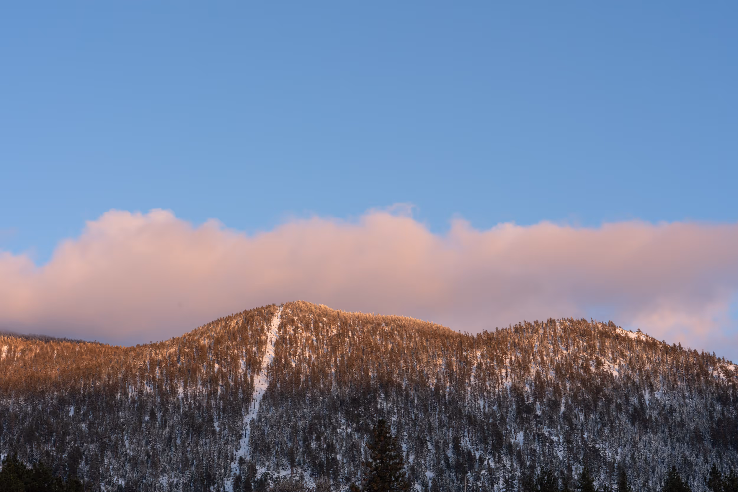 South Lake Tahoe, CA. 2022.