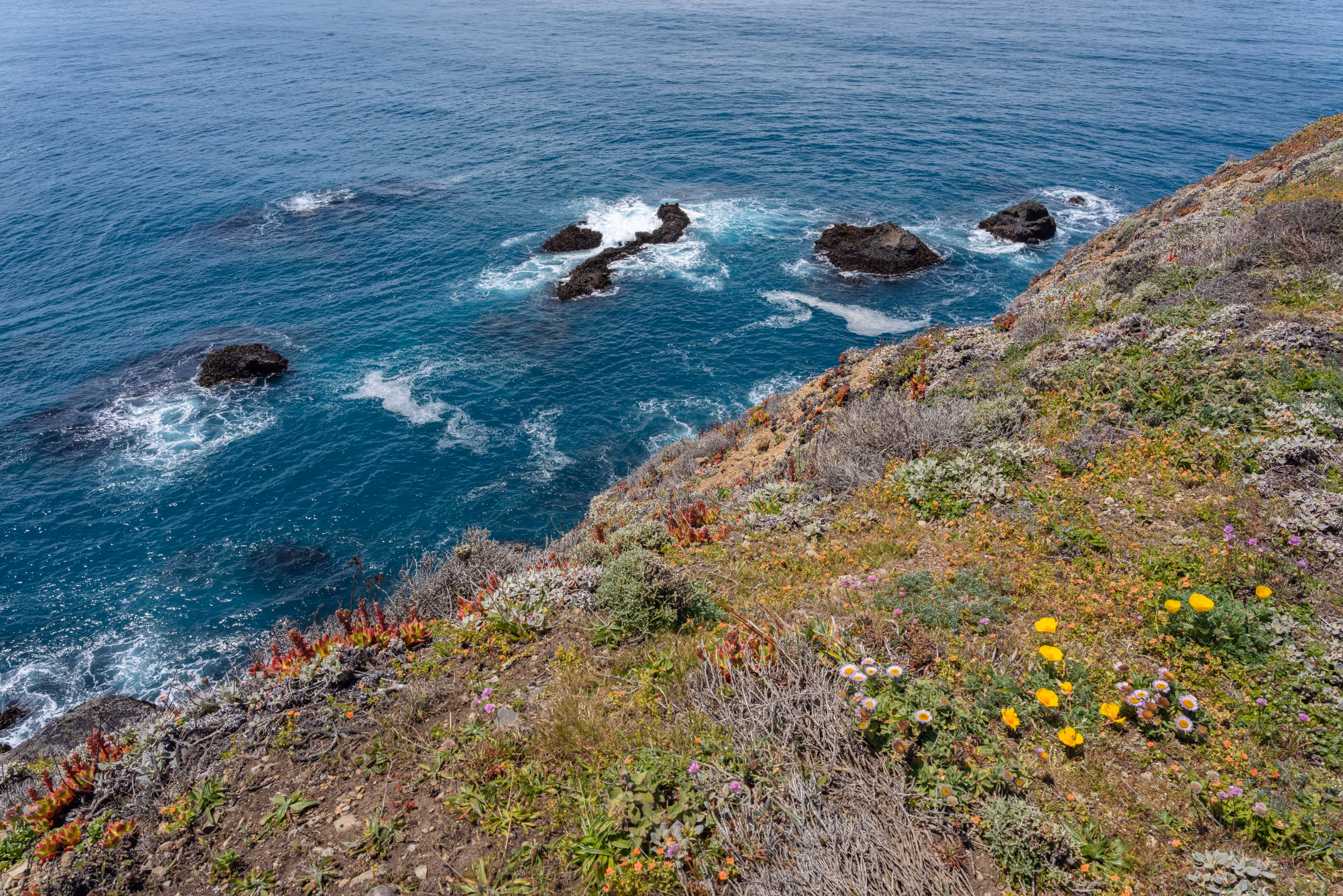 Mendocino, CA. 2022.