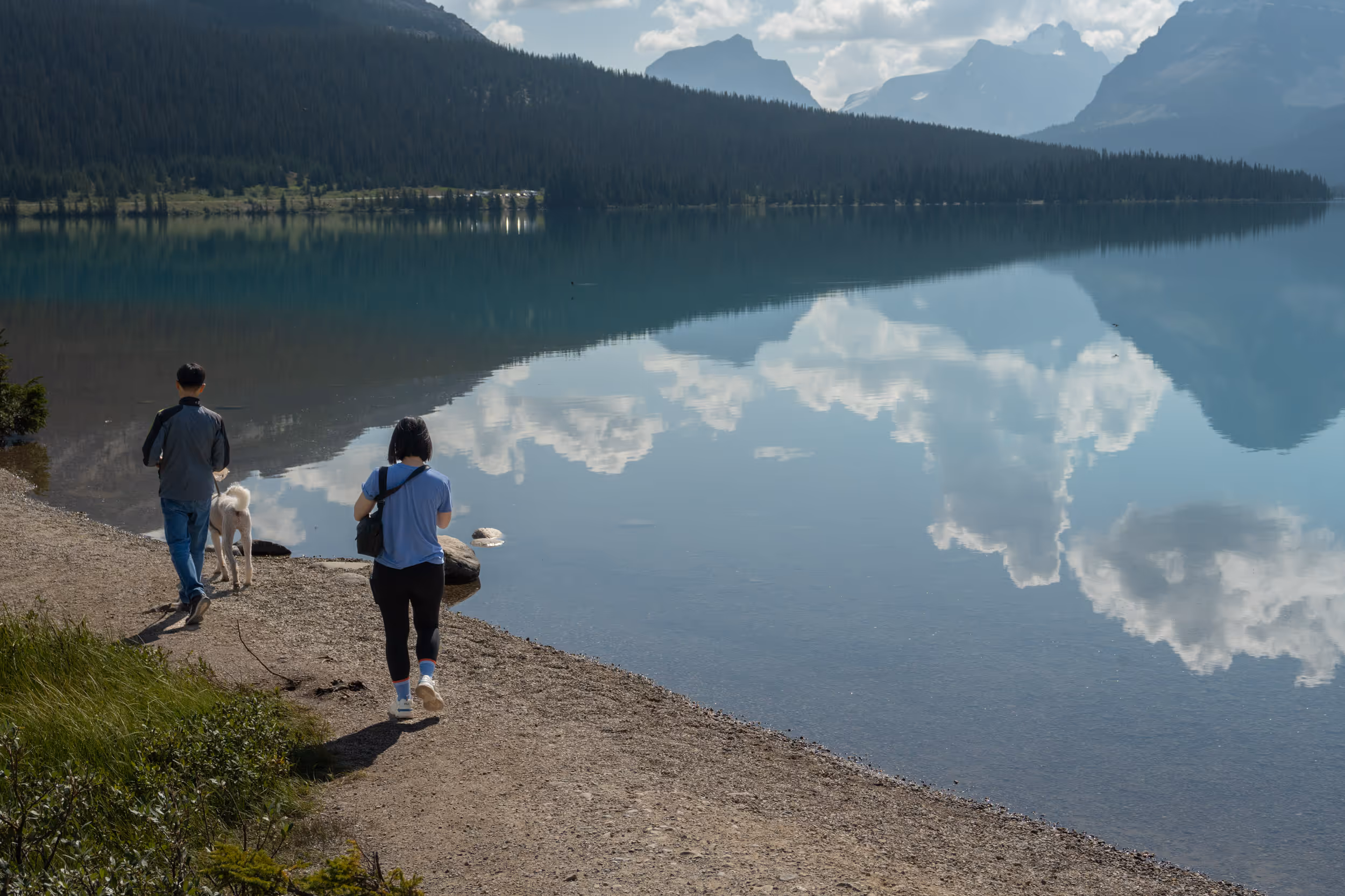 Bow Lake. Alberta. 2024.