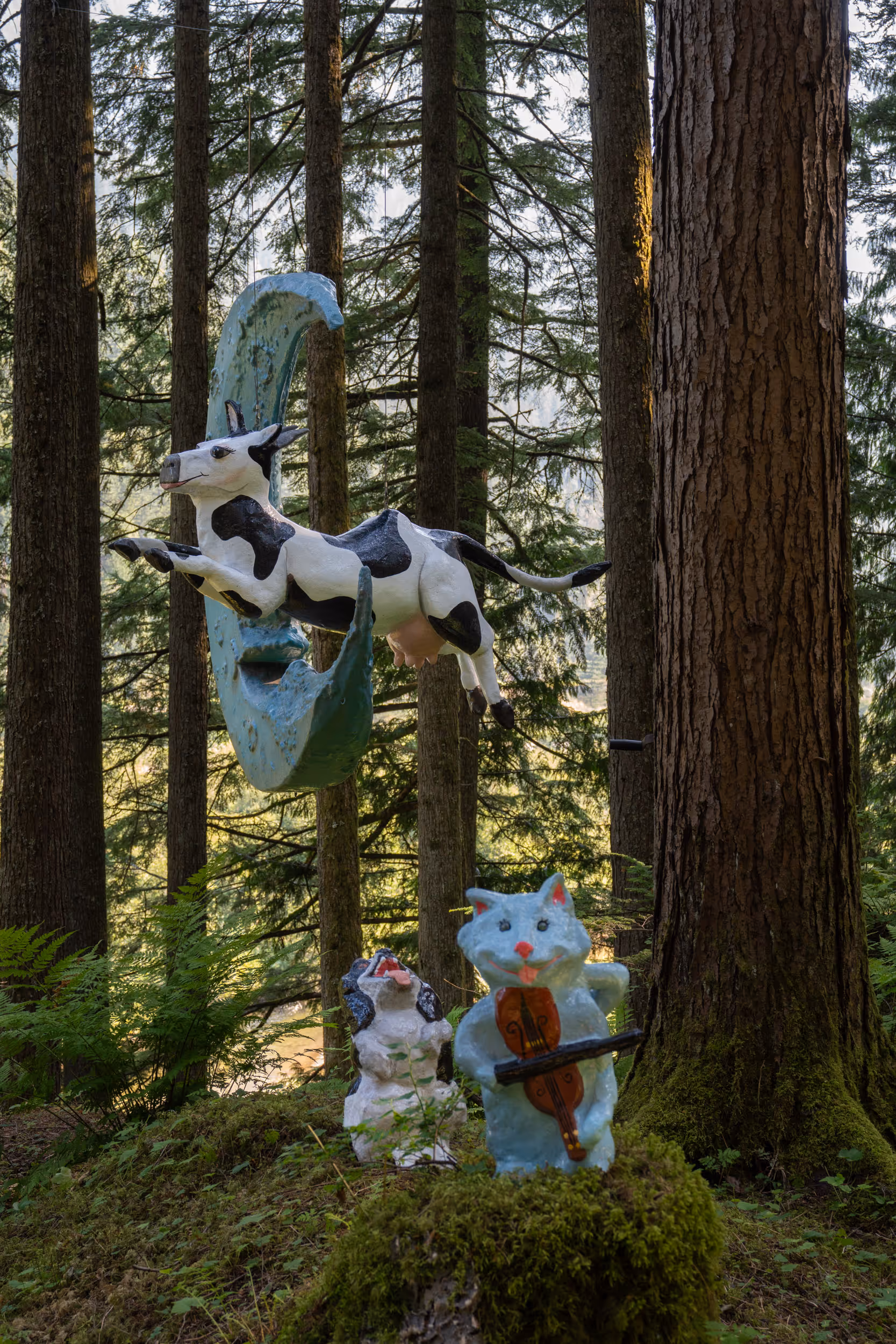 The Enchanted Forest. BC, 2024.