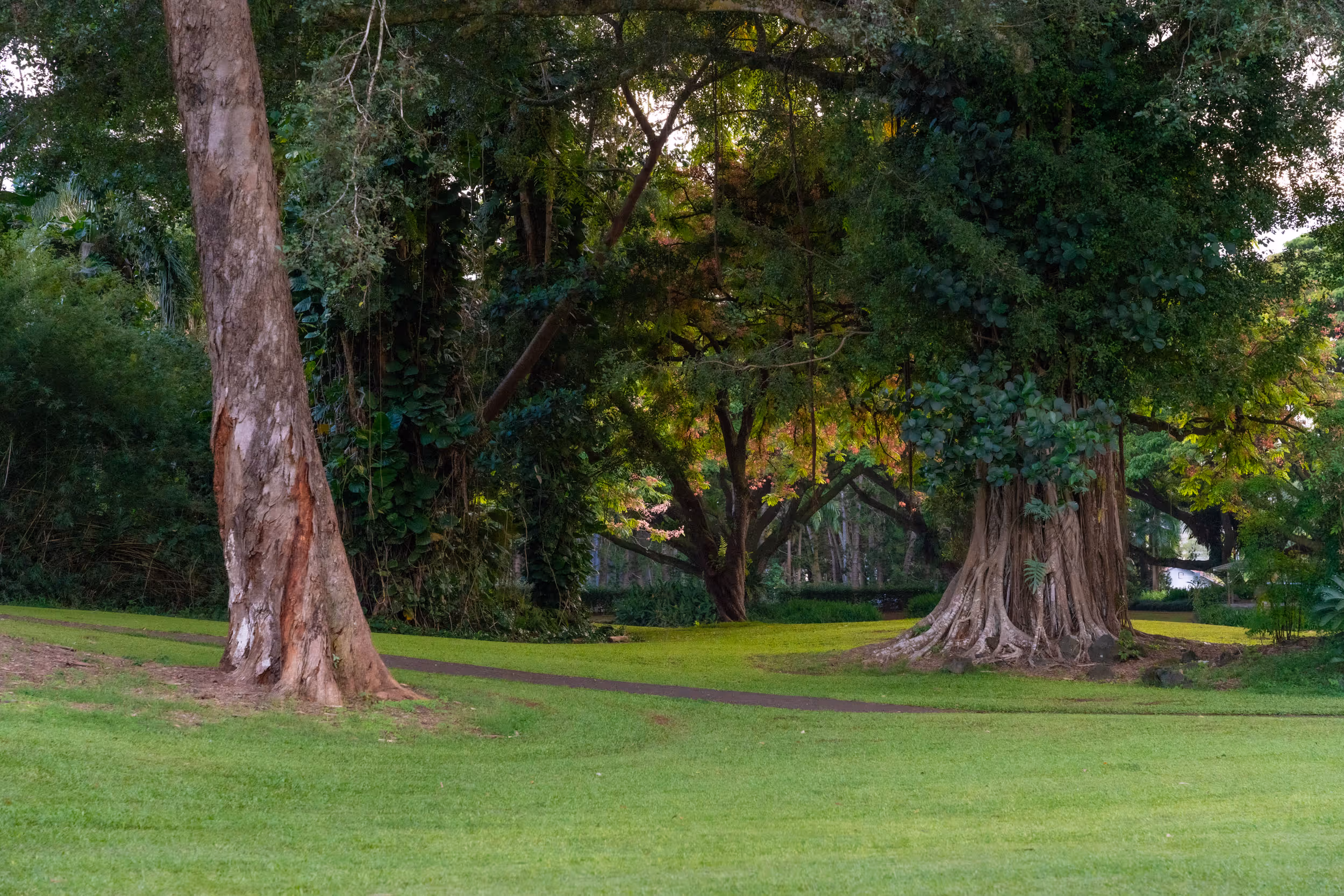 Liliuokalani Gardens. Hawaii. 2024.