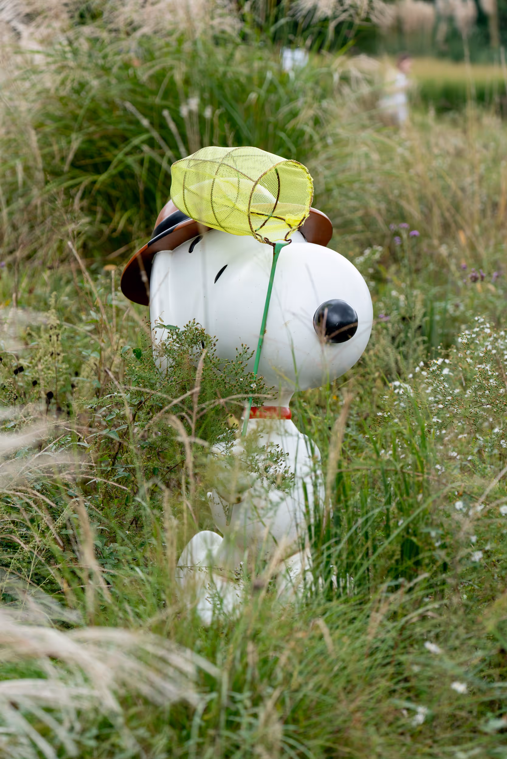Snoopy Garden. Jeju, Korea. 2025.