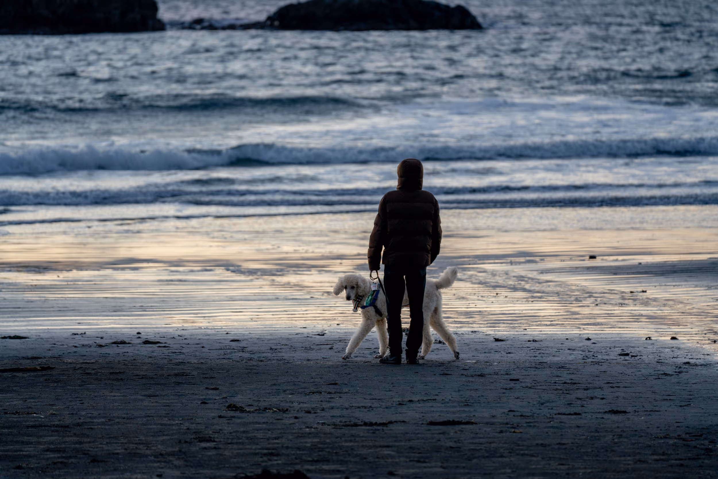 Morrie. Tofino, BC. 2025.