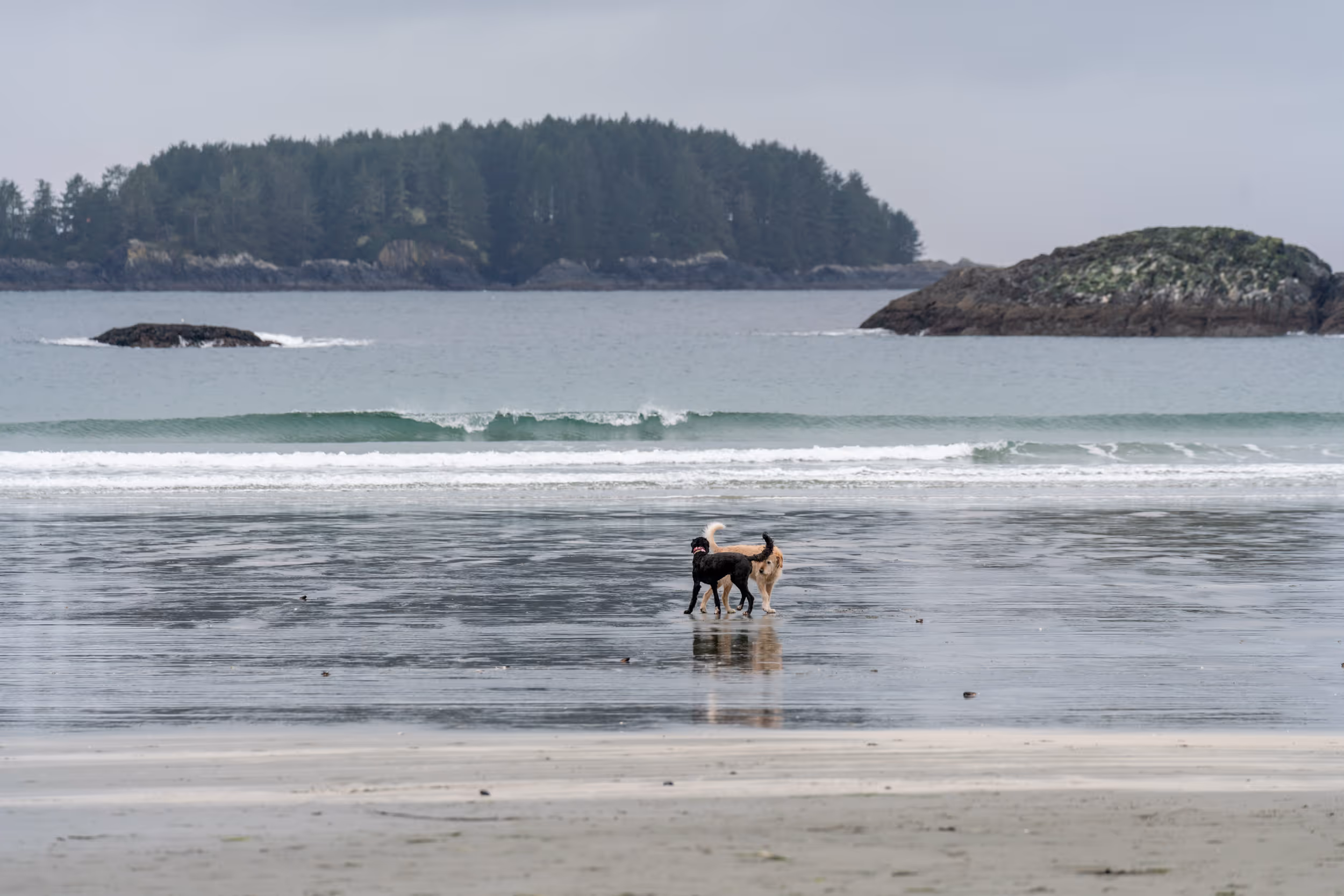 Tofino, BC. 2025.