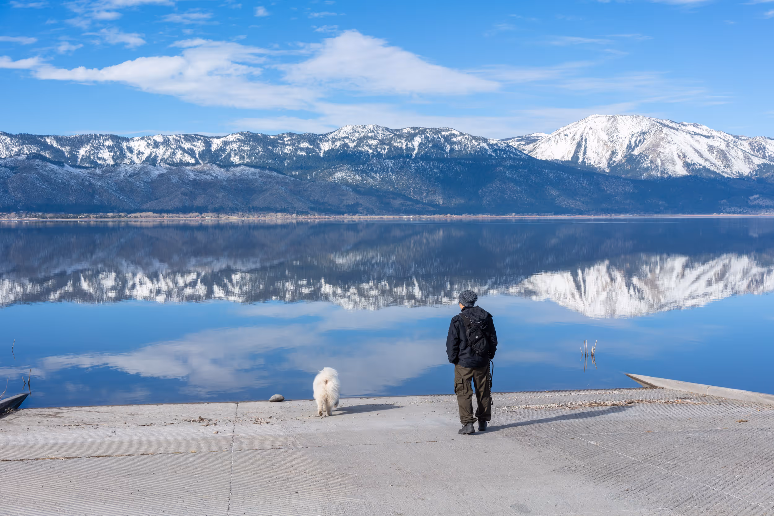Nibbler. Washoe Lake State Park, NV. 2026.