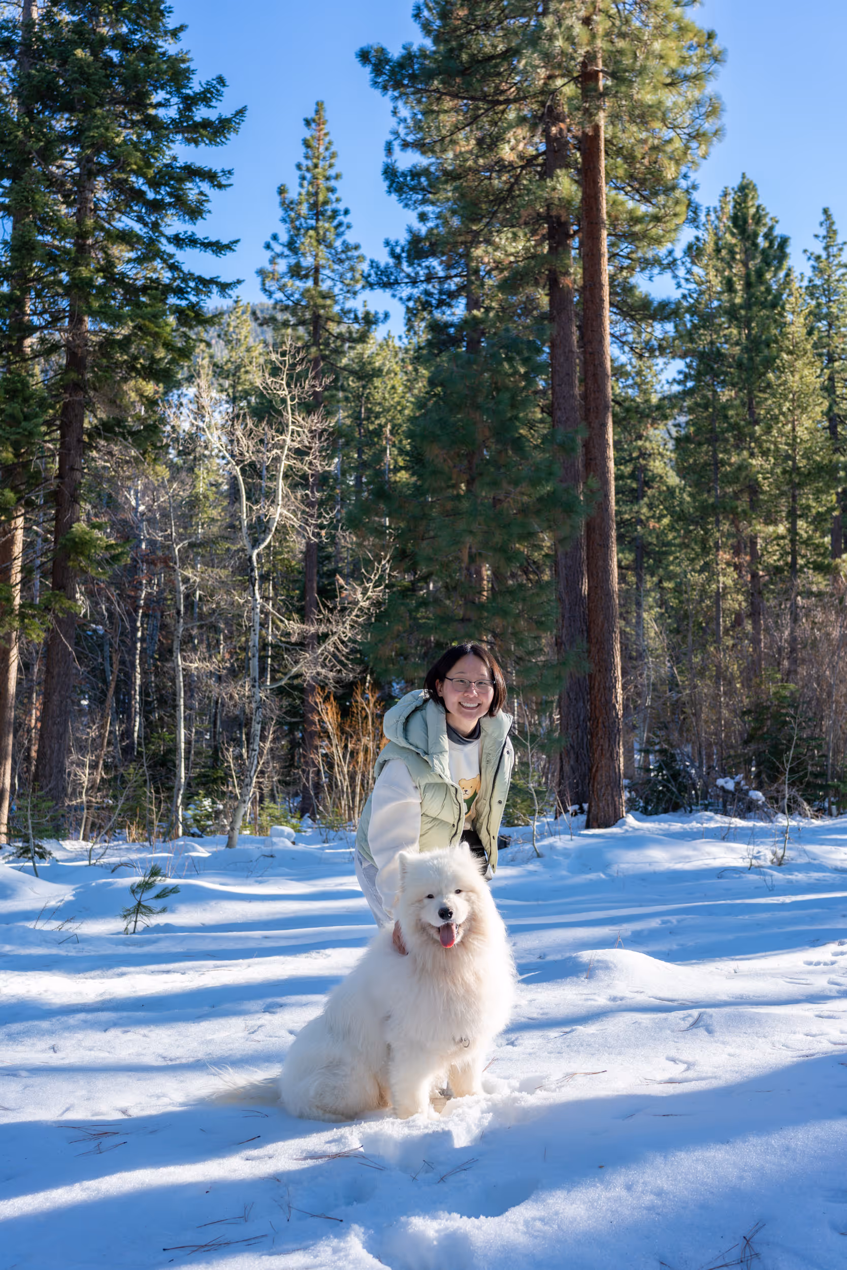 Nibbler. Van Sickle Bi-State Park. CA-NV. 2026.