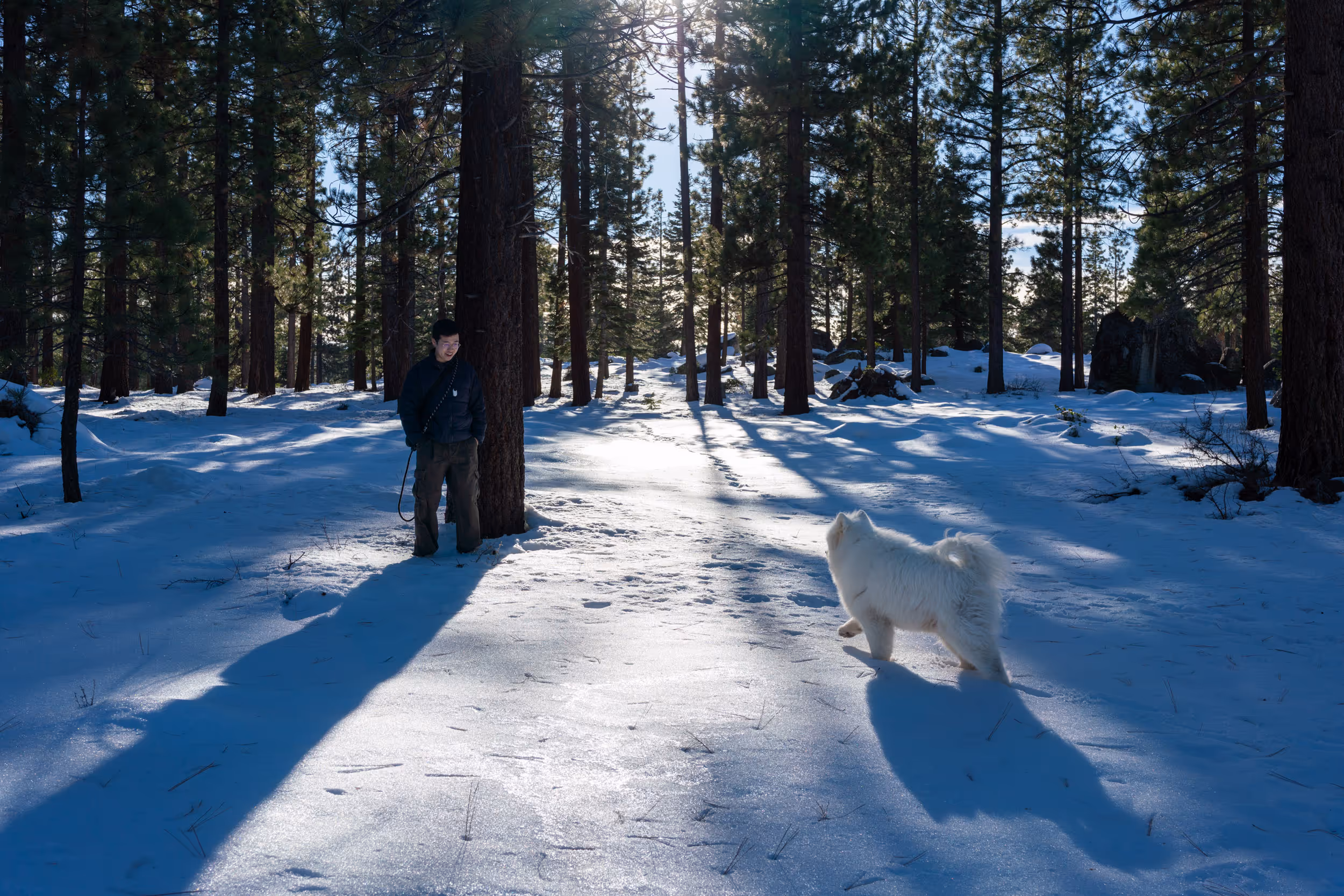 Nibbler. Van Sickle Bi-State Park. CA-NV. 2026.