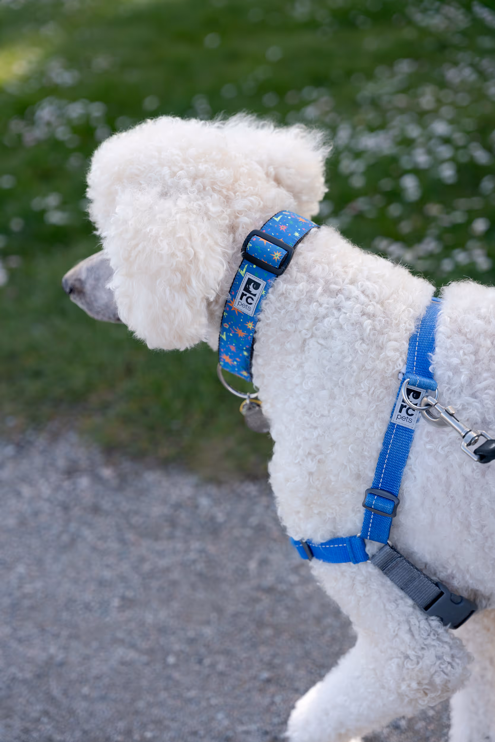 Morrie. Jericho Beach. 2025.