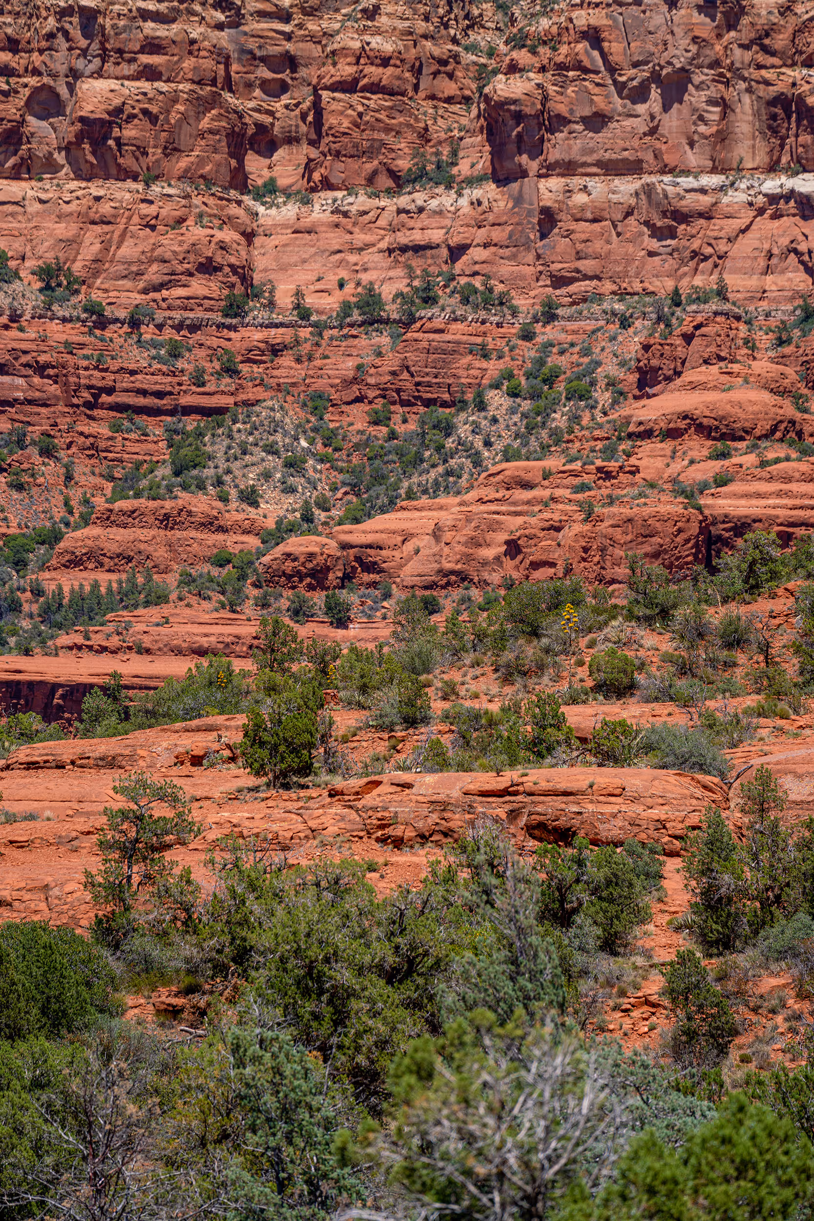 Sedona, AZ. 2025.