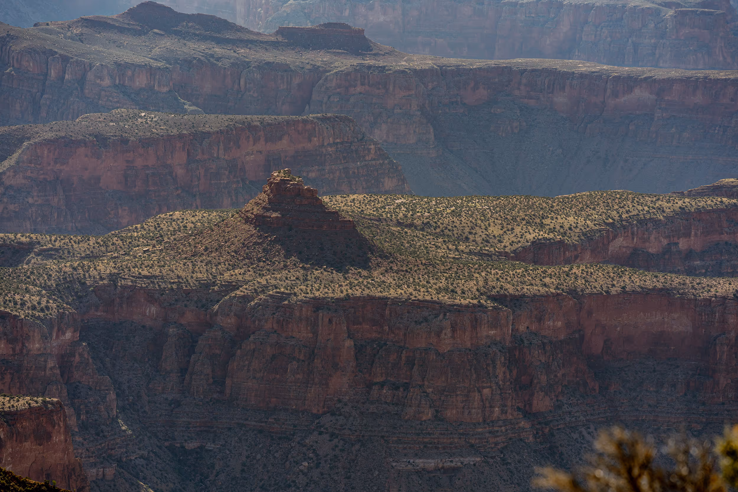 Grand Canyon, AZ. 2025.
