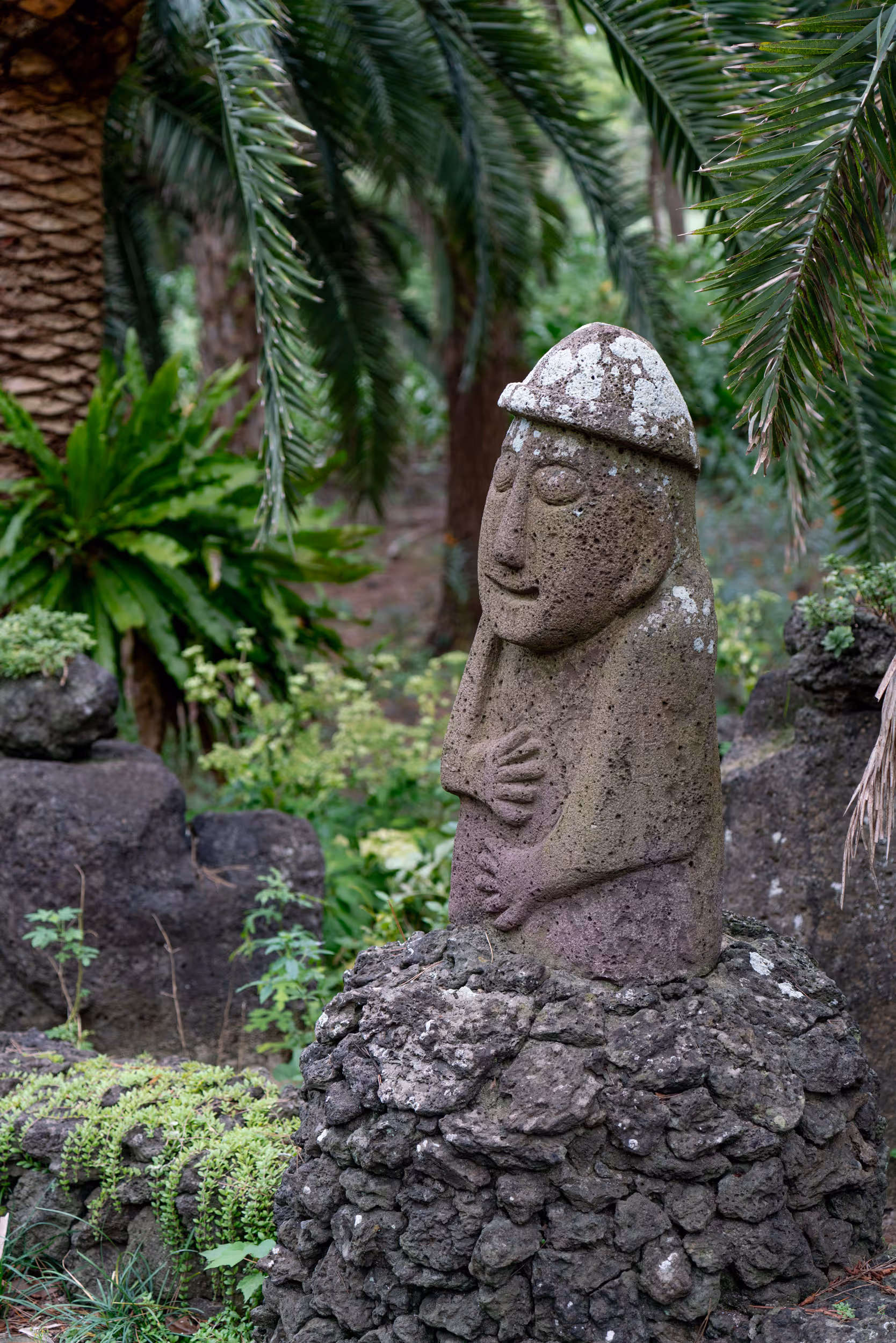 Hallim Park. Jeju, Korea. 2025.
