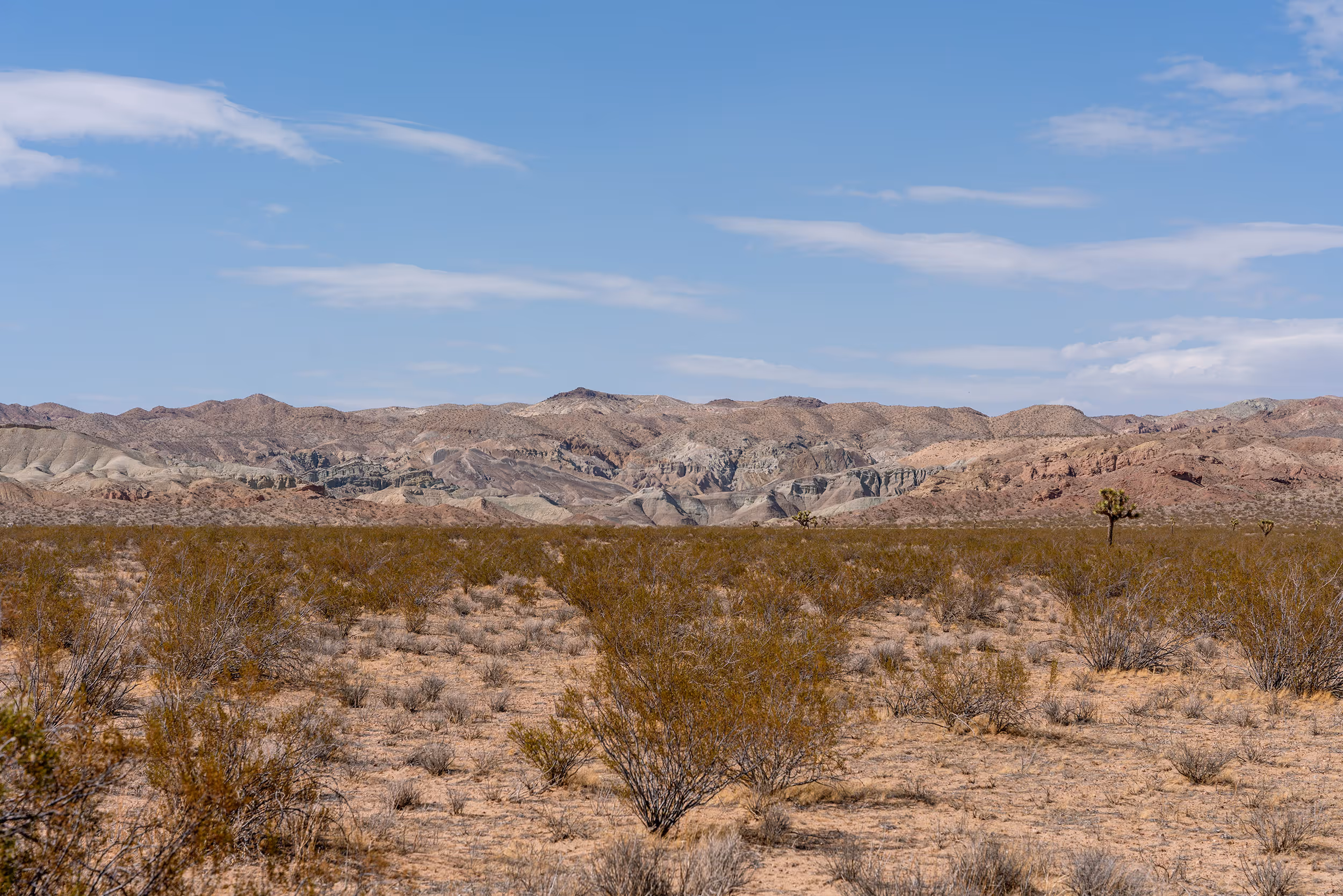 Rainbow Basin Natural Area. Barstow, CA. 2025.
