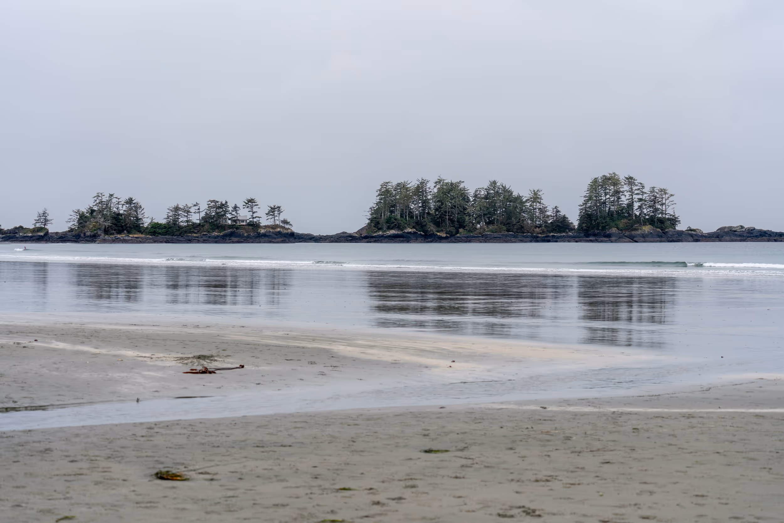 Tofino, BC. 2025.