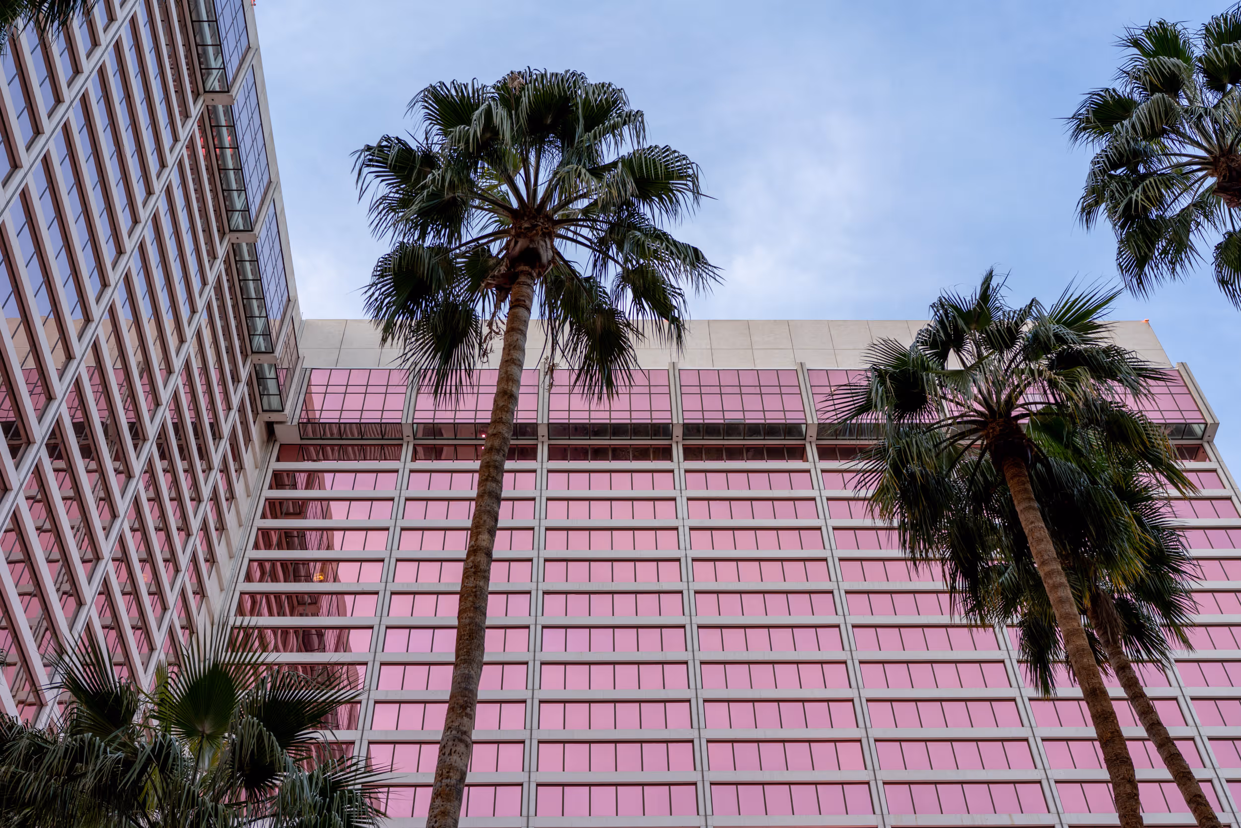 Flamingo. Las Vegas, NV. 2026.